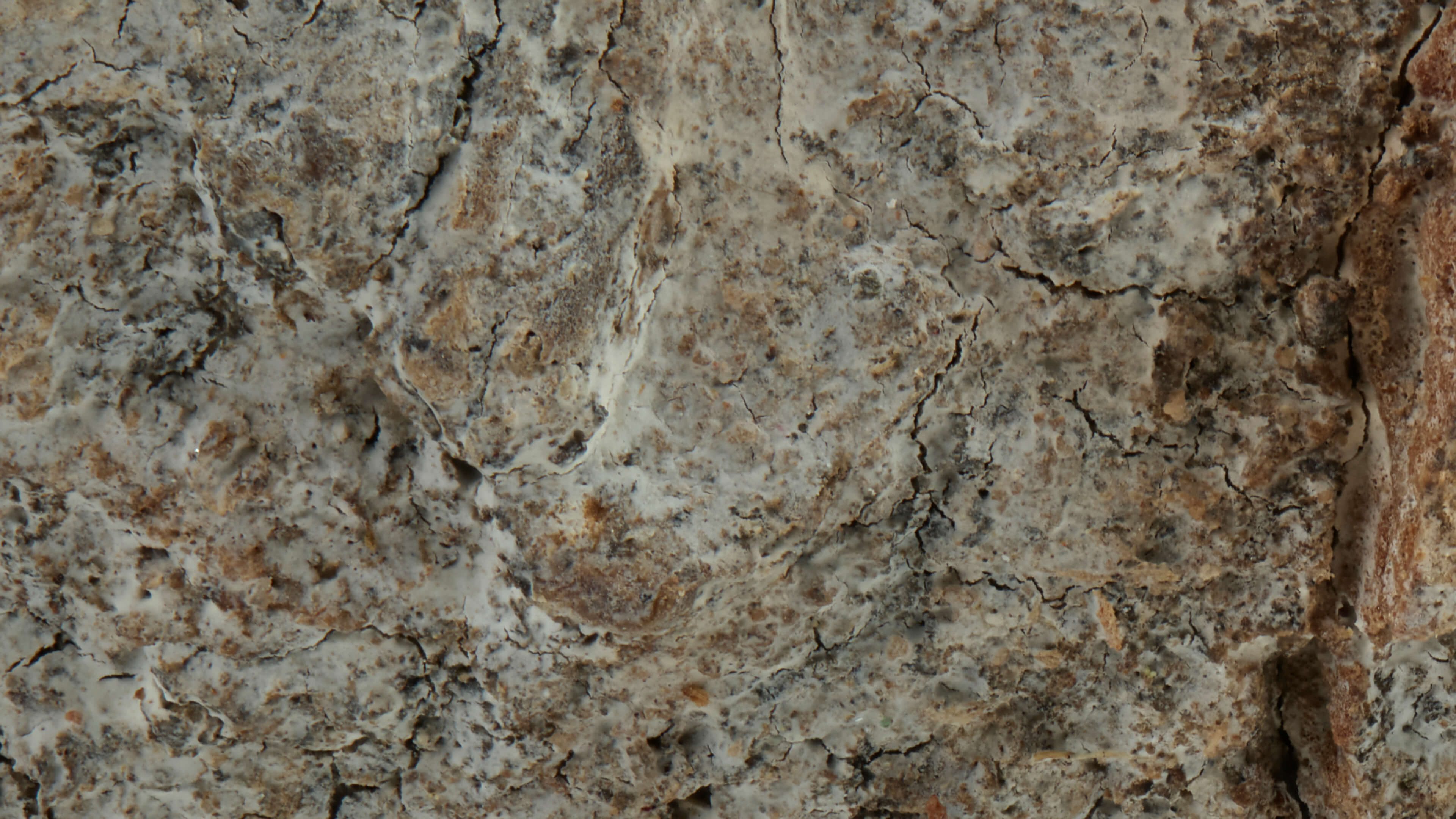 Detailed Image Detailed Image