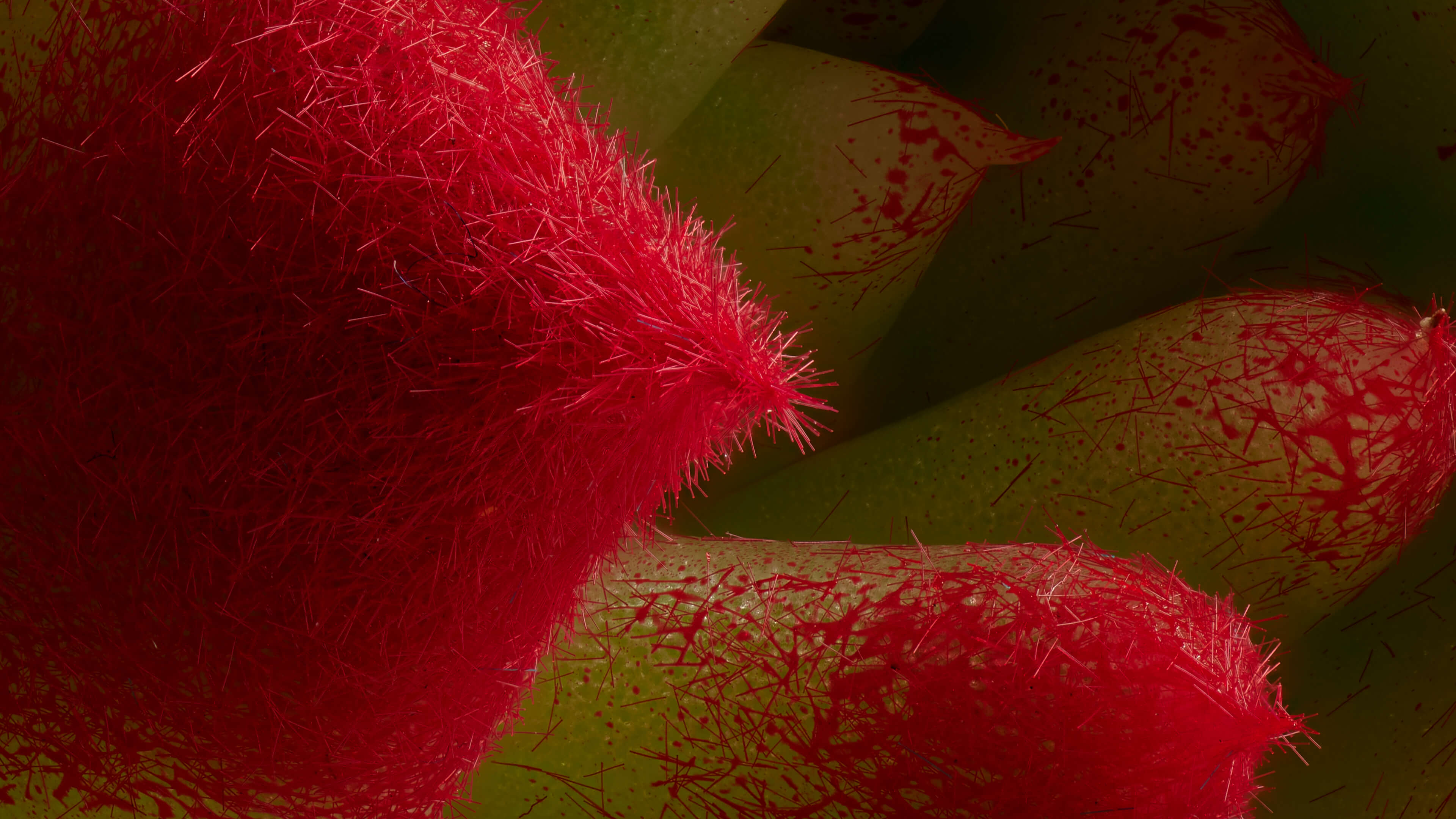 Detailed Image Detailed Image