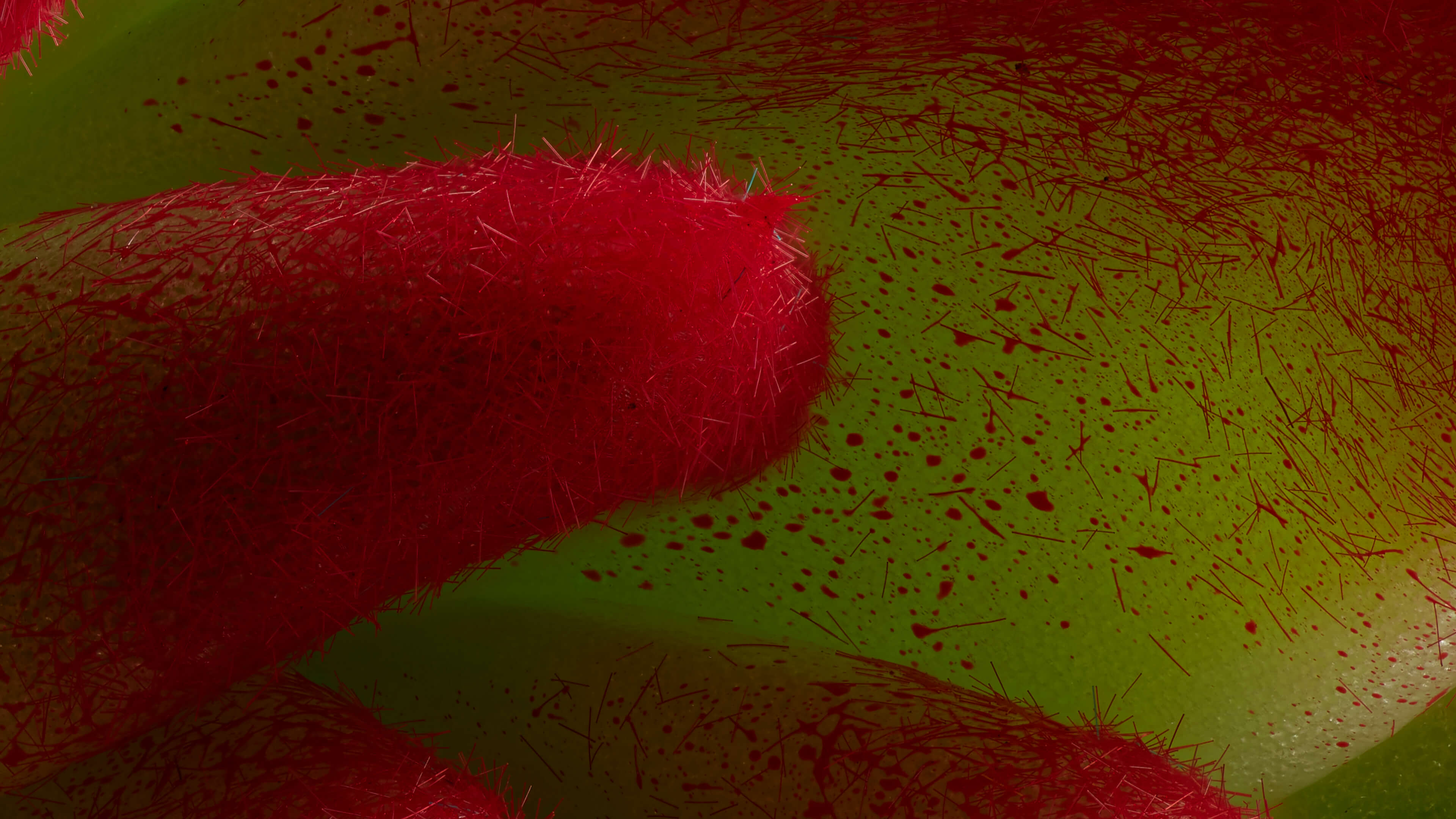 Detailed Image 2 Detailed Image 2