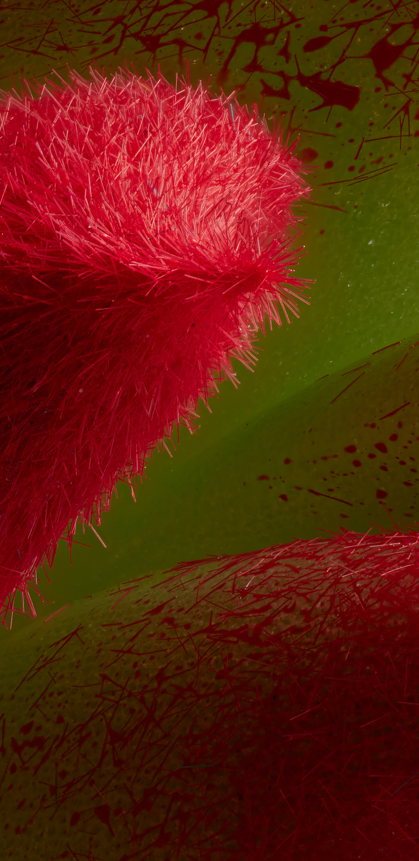 Detailed Image 1 Detailed Image 1