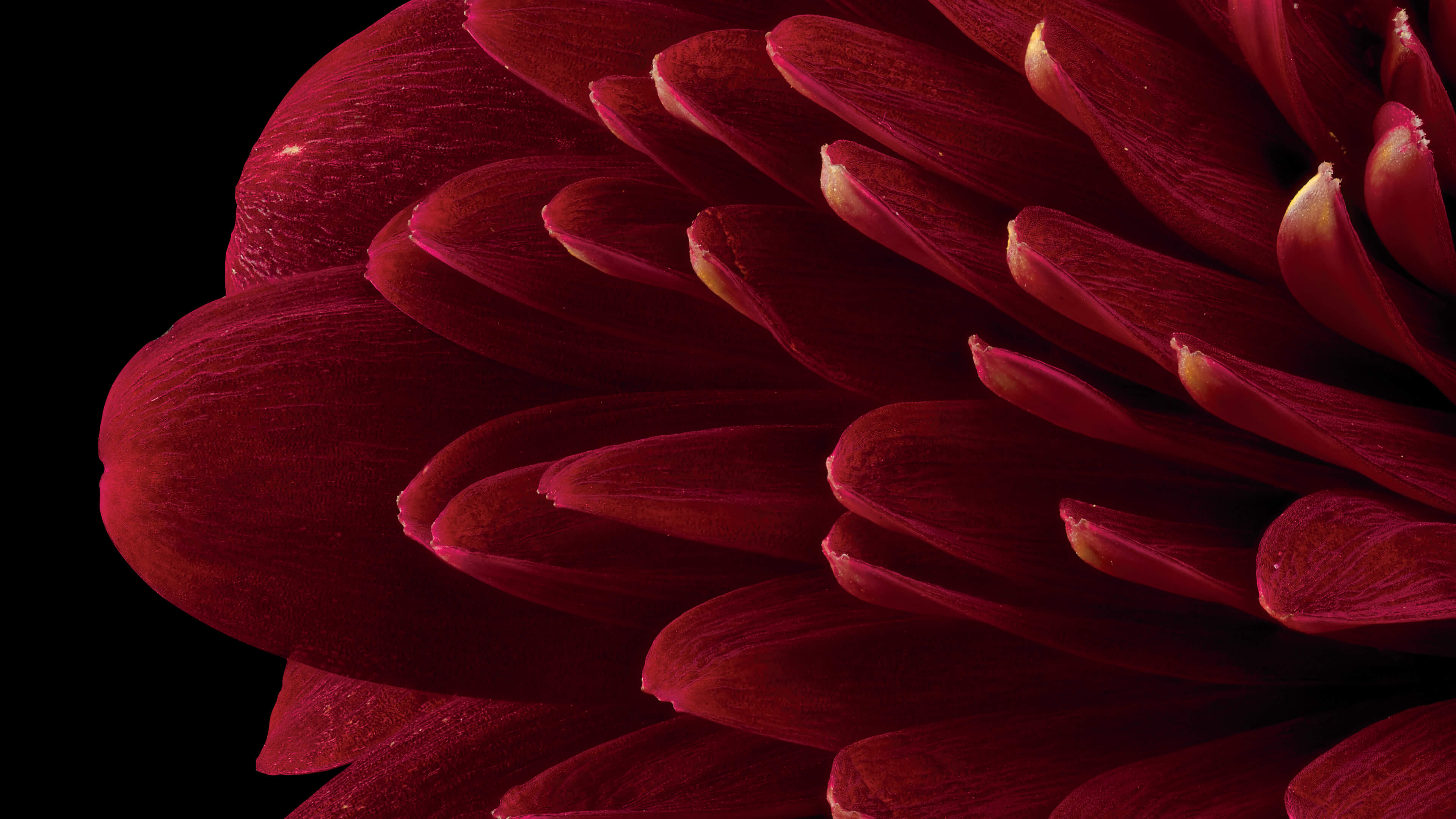 Detailed Image Detailed Image