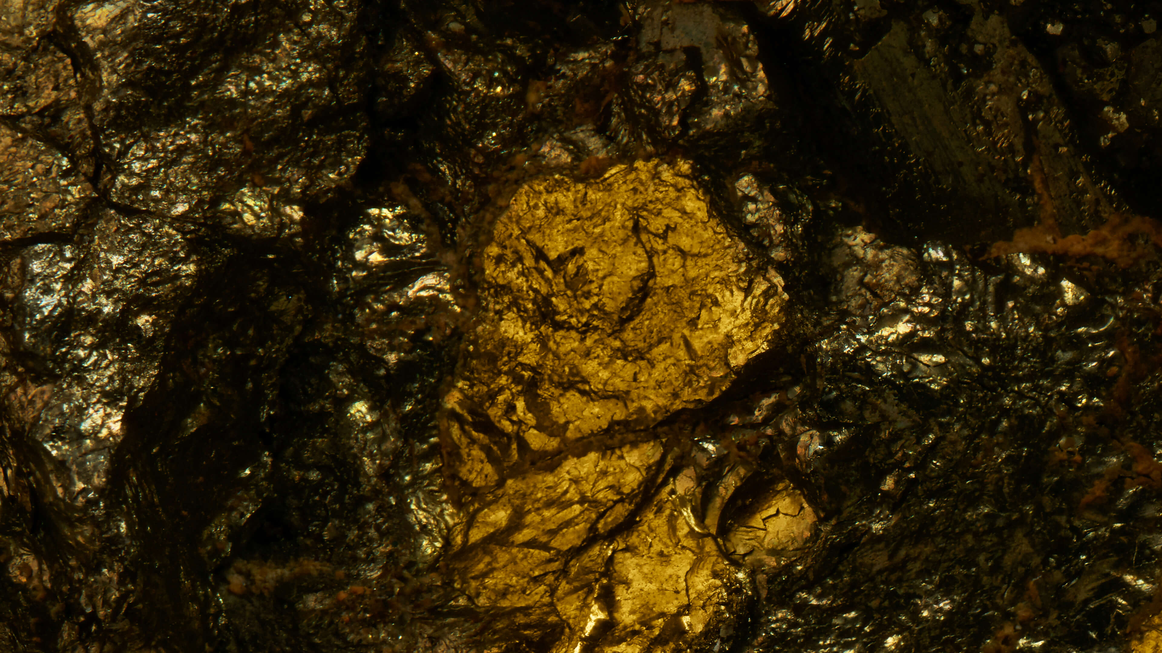 Detailed Image Detailed Image