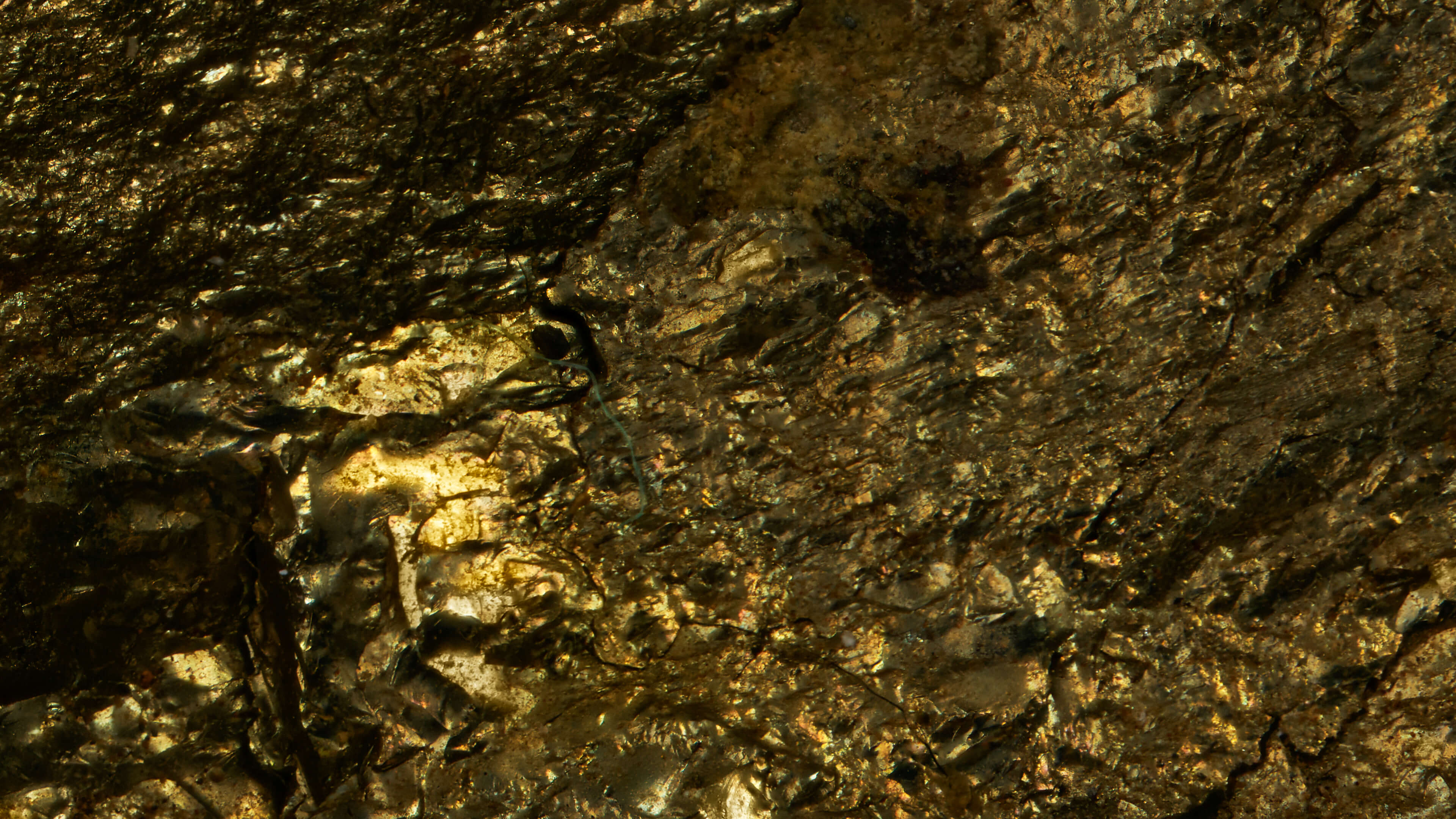 Detailed Image 2 Detailed Image 2
