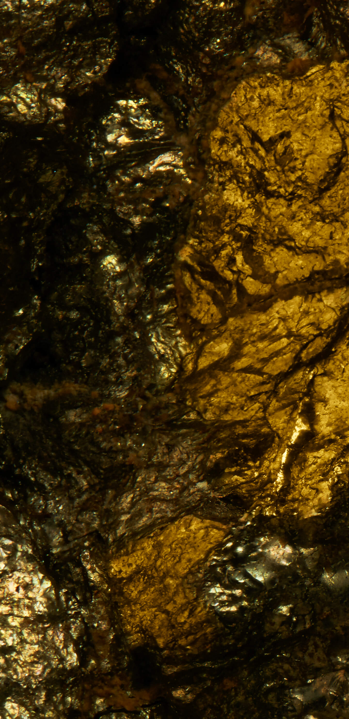 Detailed Image 1 Detailed Image 1