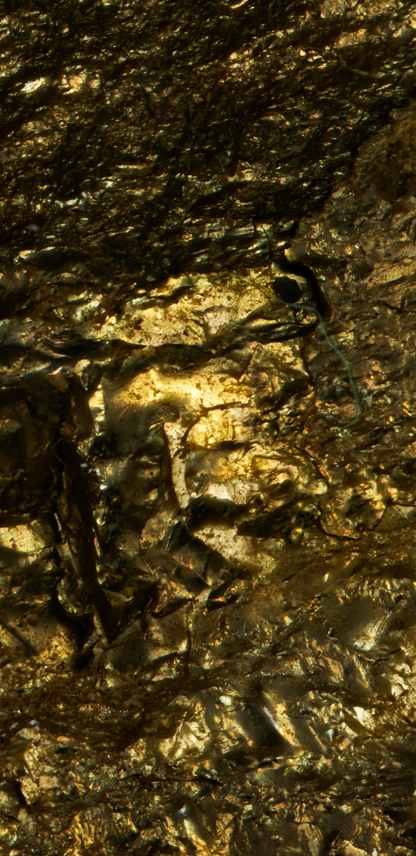 Detailed Image 2 Detailed Image 2