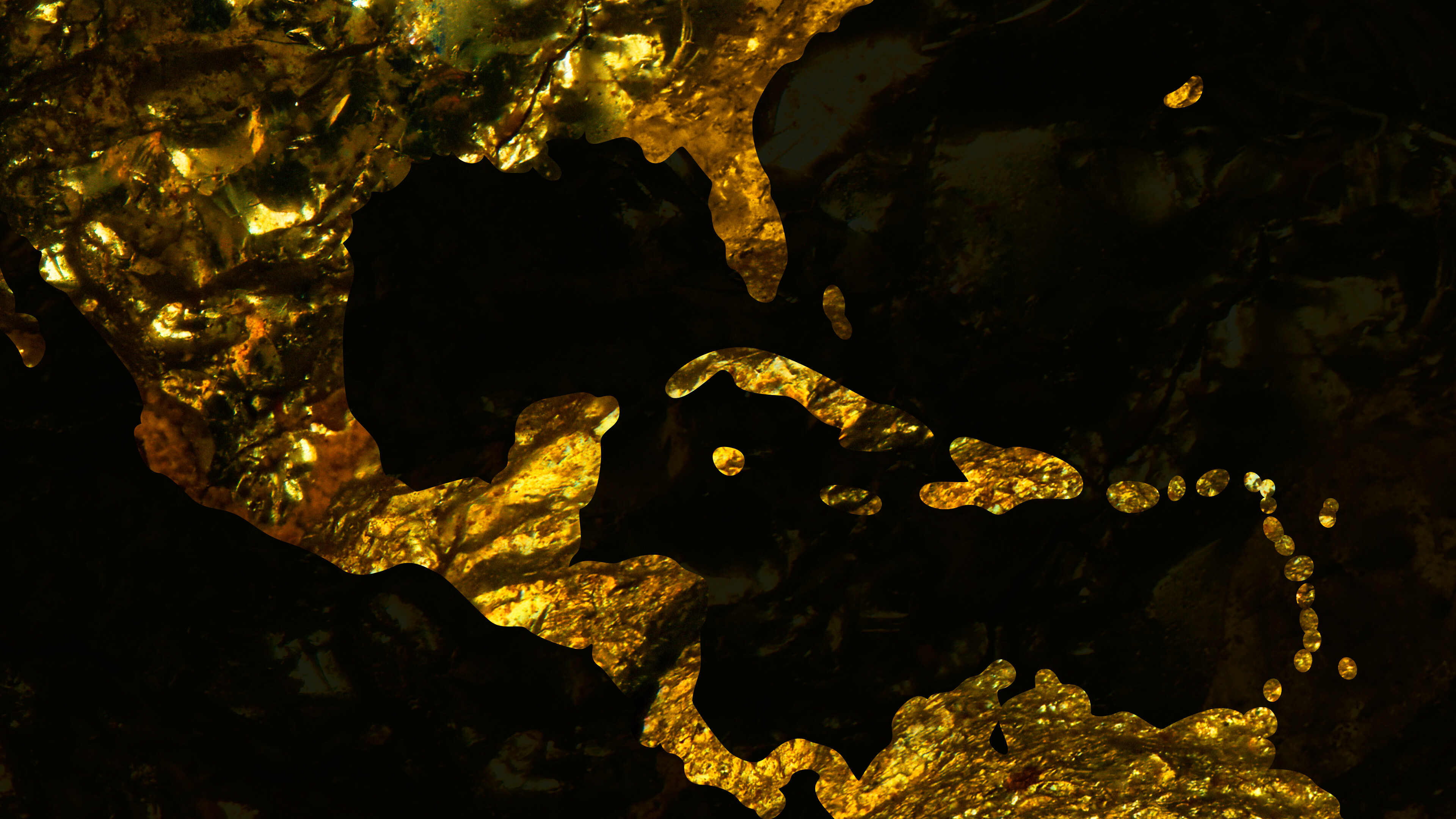 Detailed Image Detailed Image