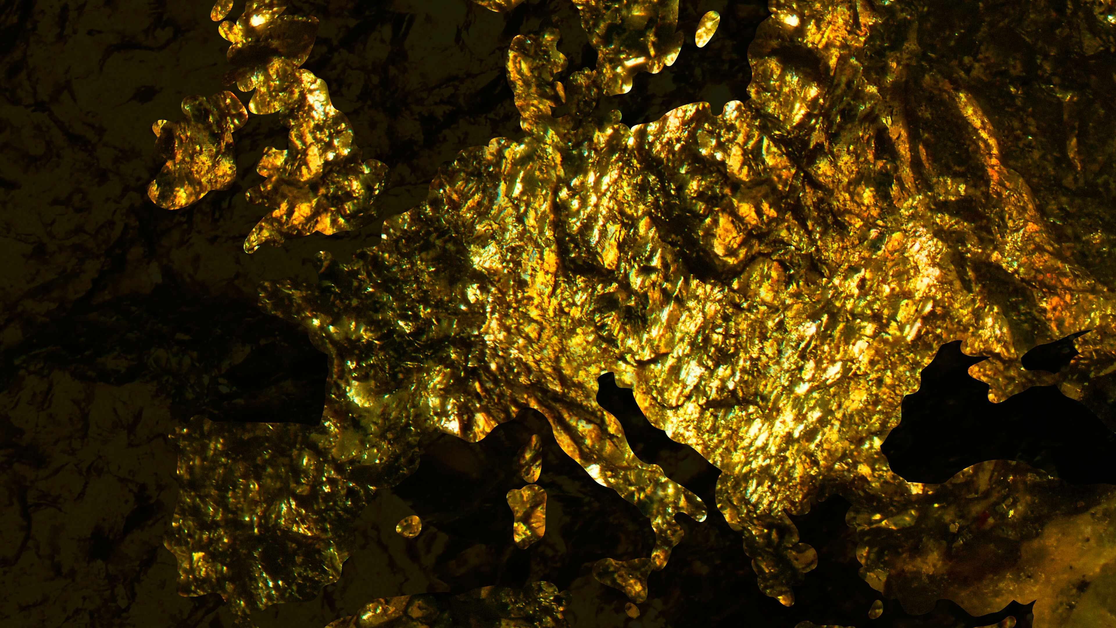 Detailed Image 2 Detailed Image 2
