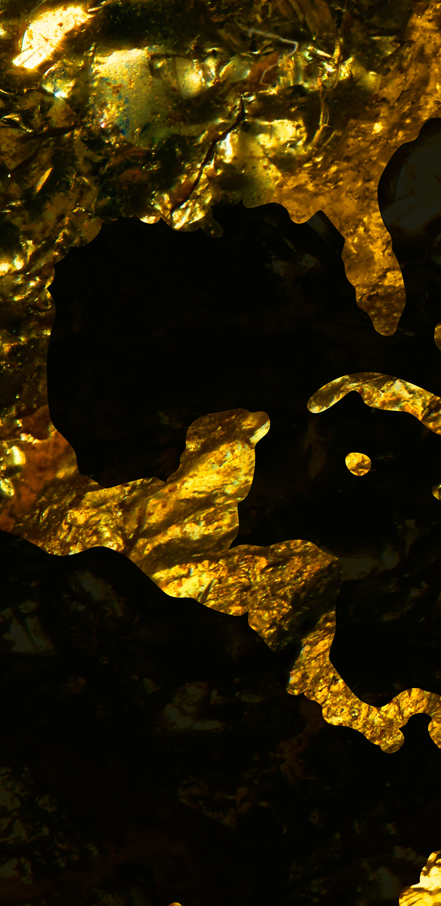 Detailed Image 1 Detailed Image 1