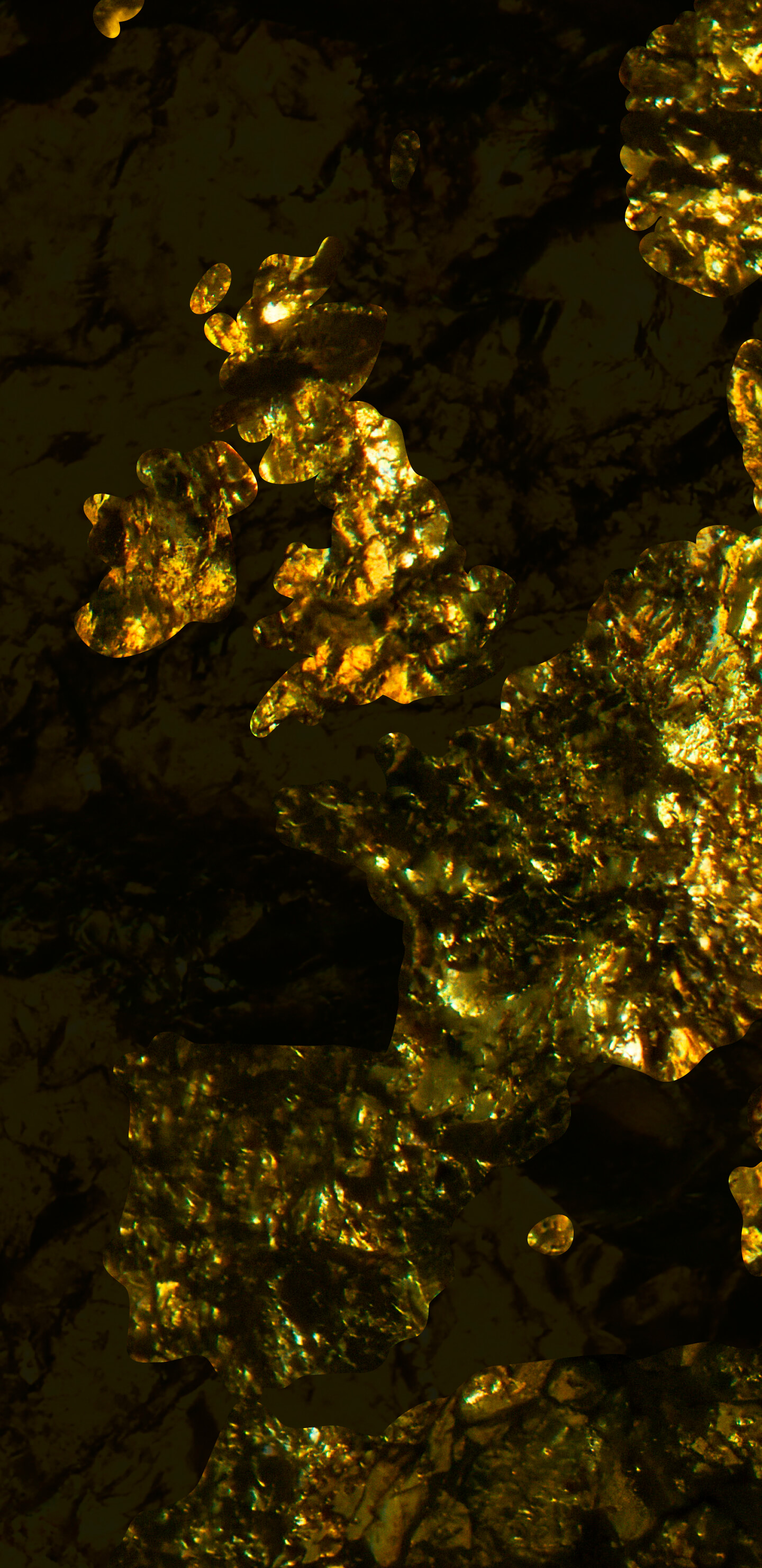 Detailed Image 2 Detailed Image 2