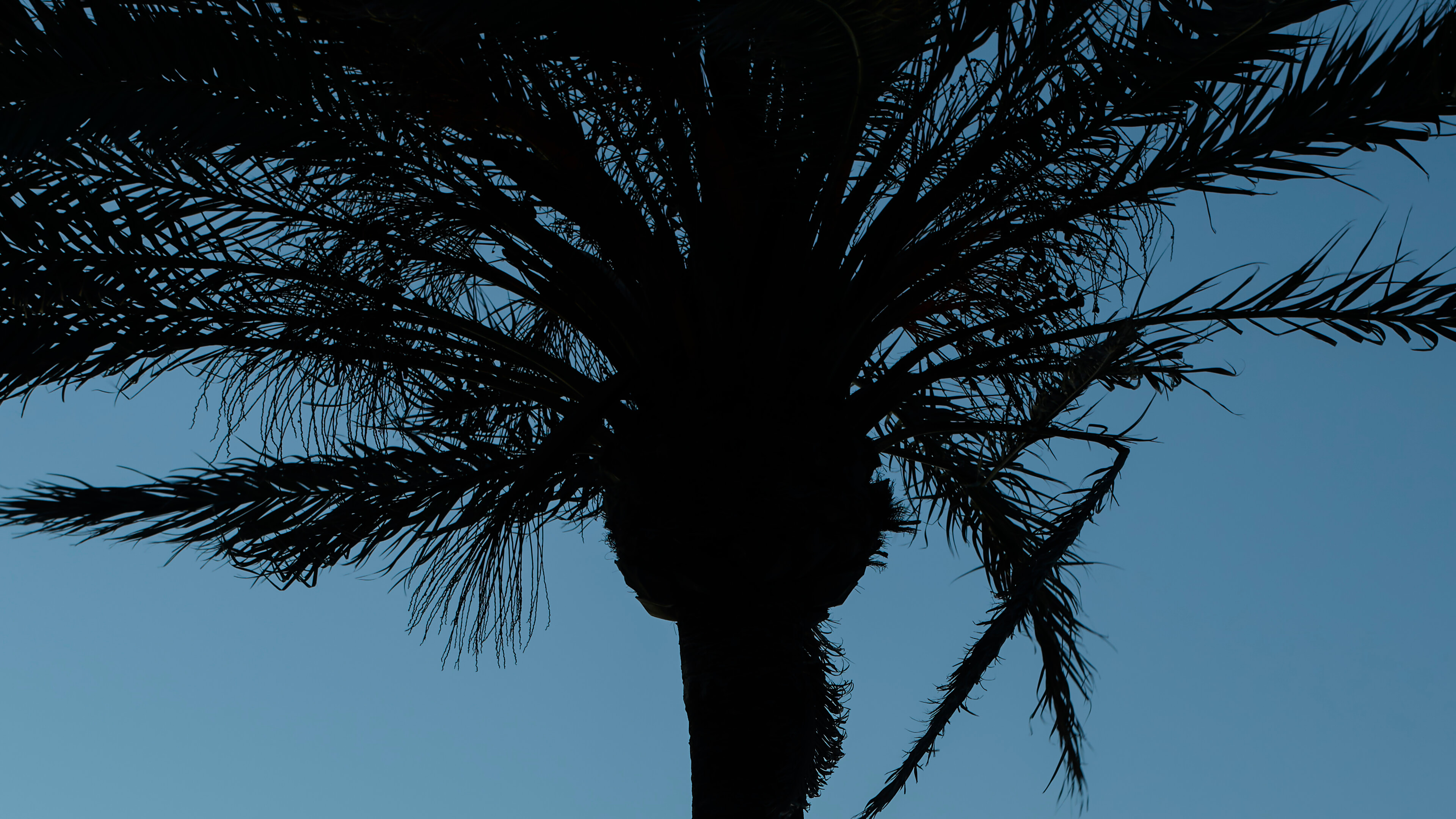 Detailed Image Detailed Image