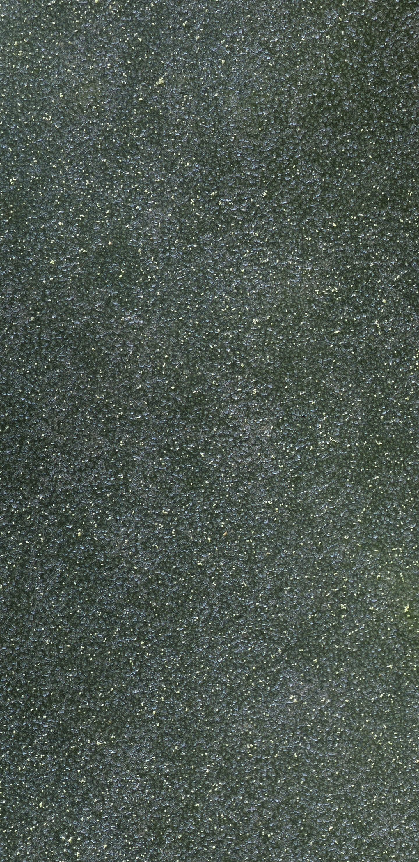 Detailed Image 1 Detailed Image 1