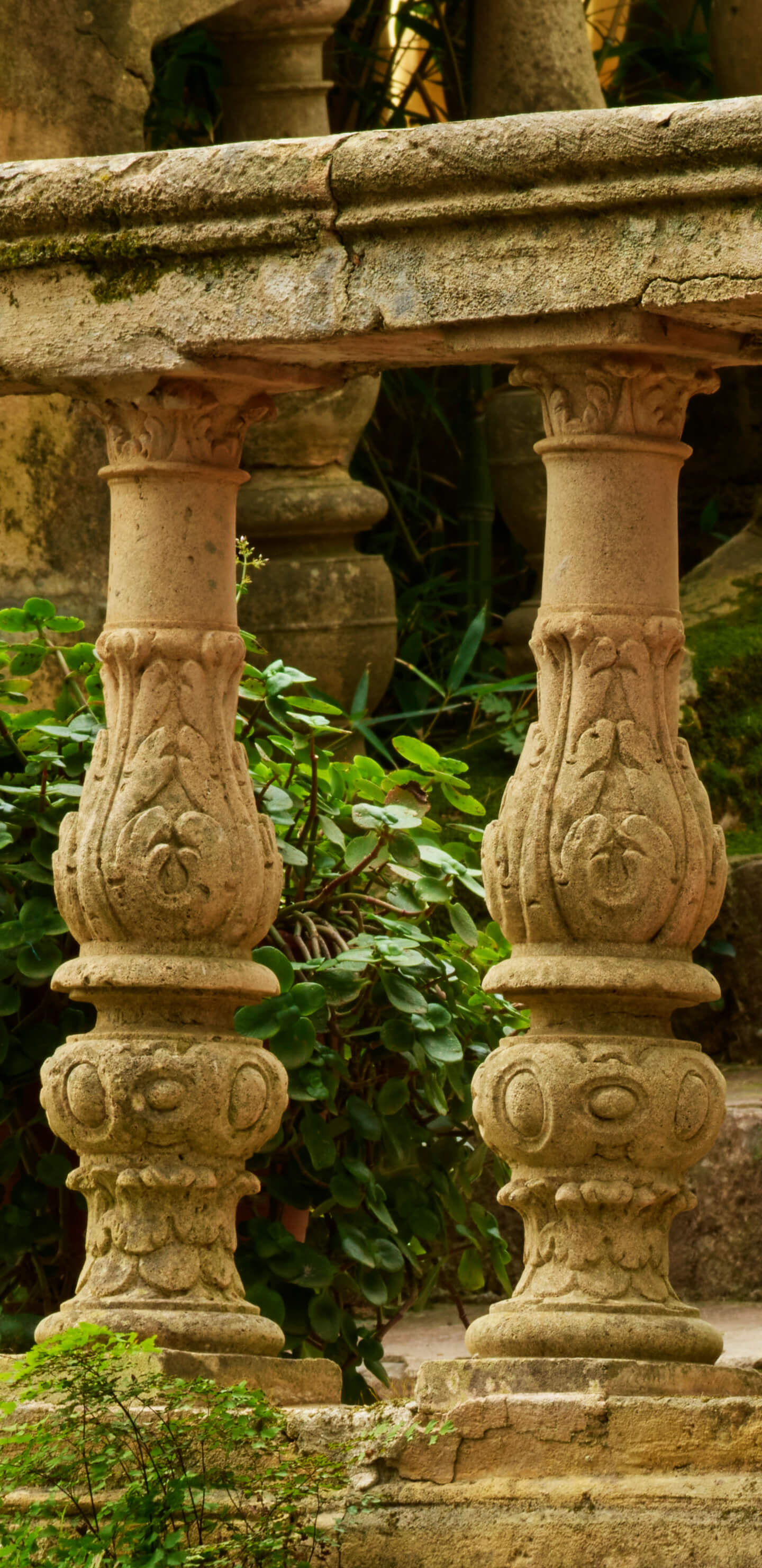 Detailed Image 1 Detailed Image 1