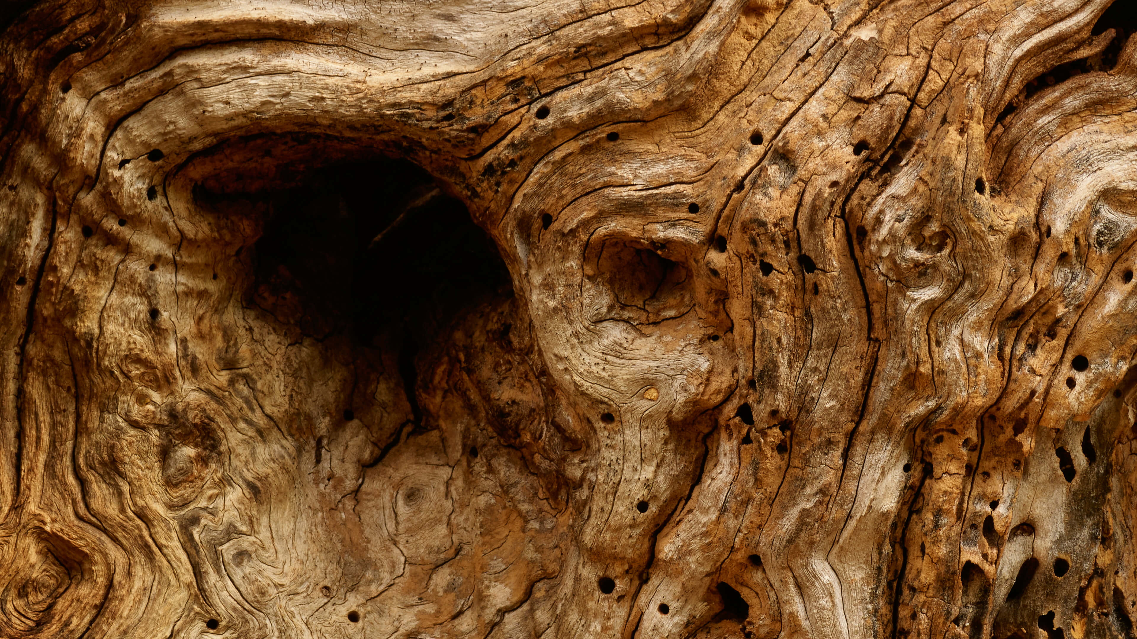 Detailed Image Detailed Image