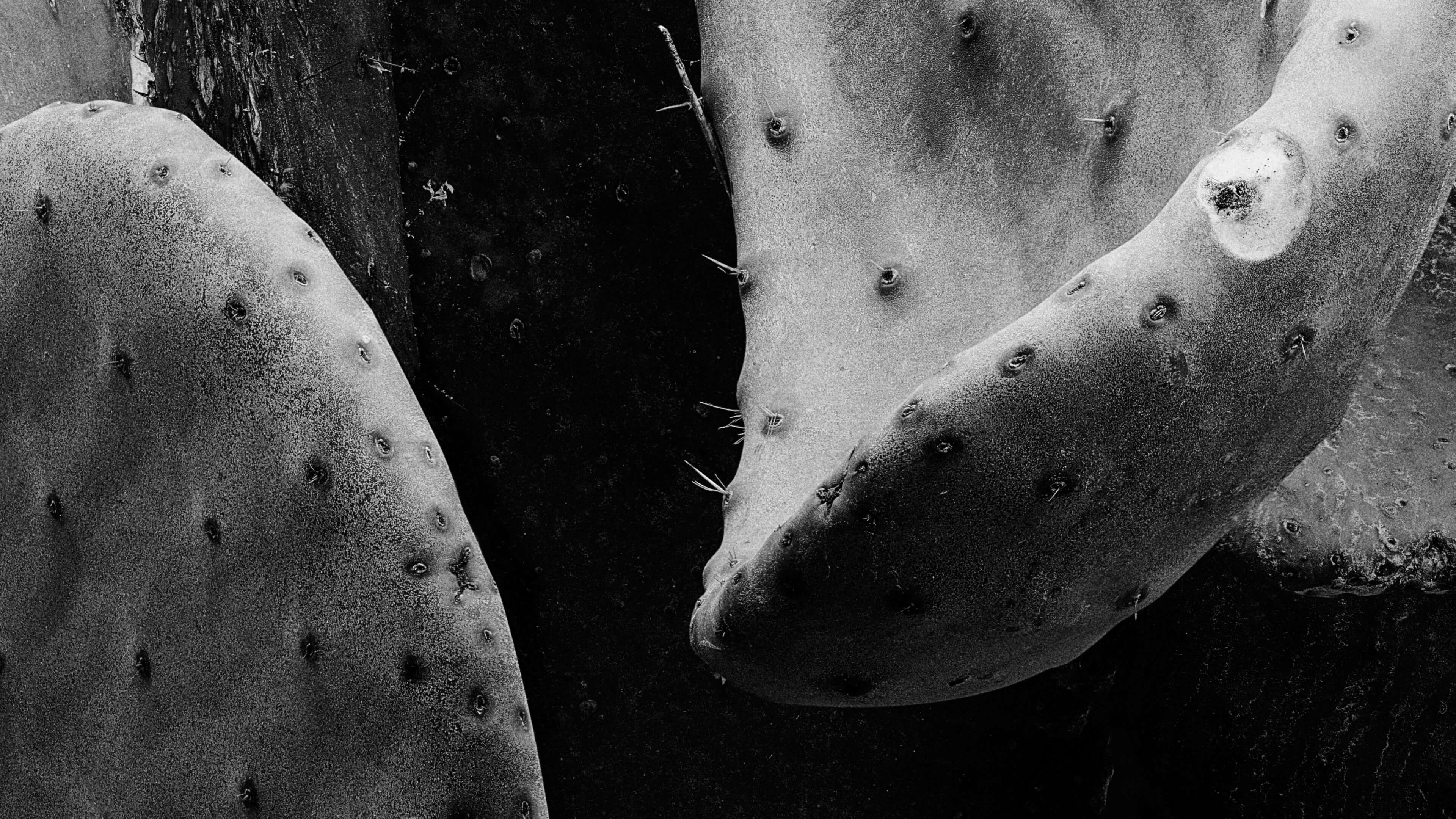 Detailed Image 2 Detailed Image 2