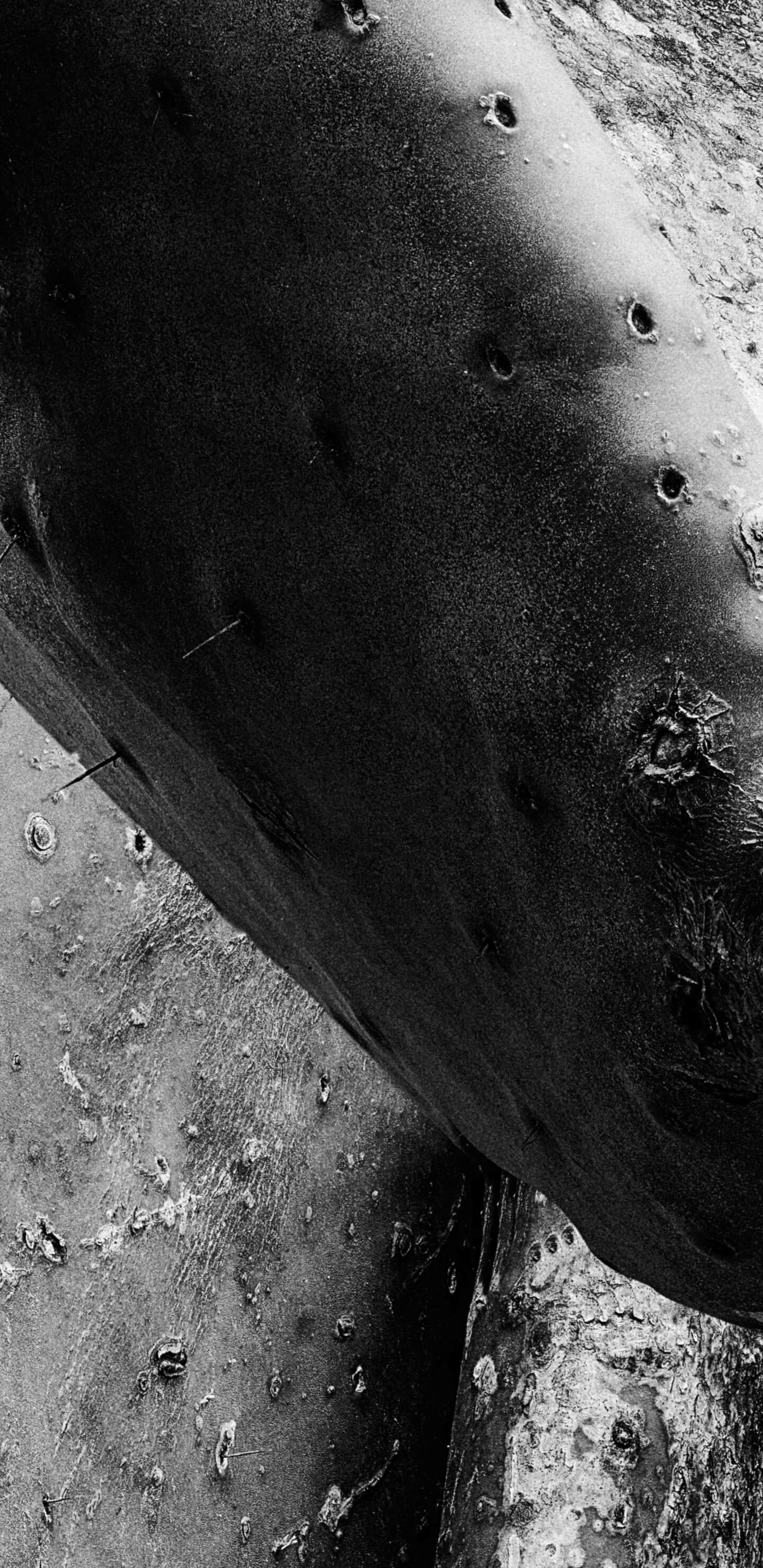 Detailed Image 2 Detailed Image 2