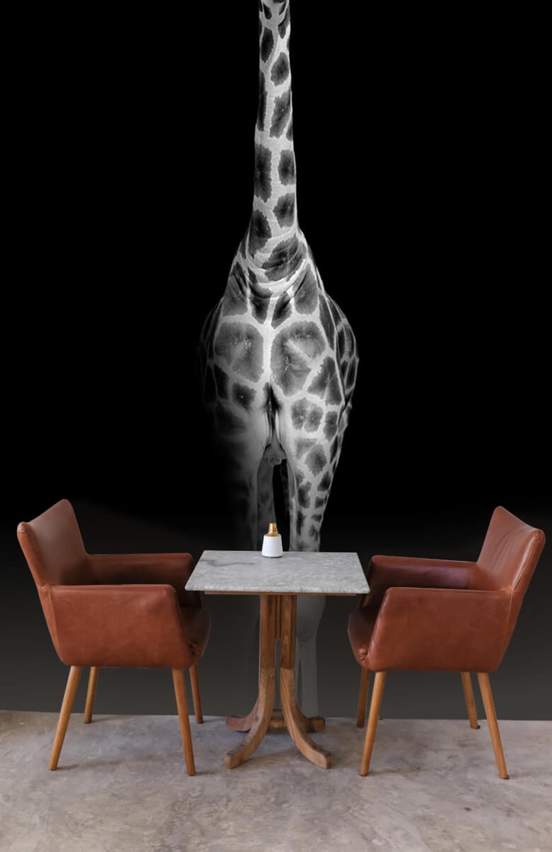Giraffe Zwart Wit Fotobehang