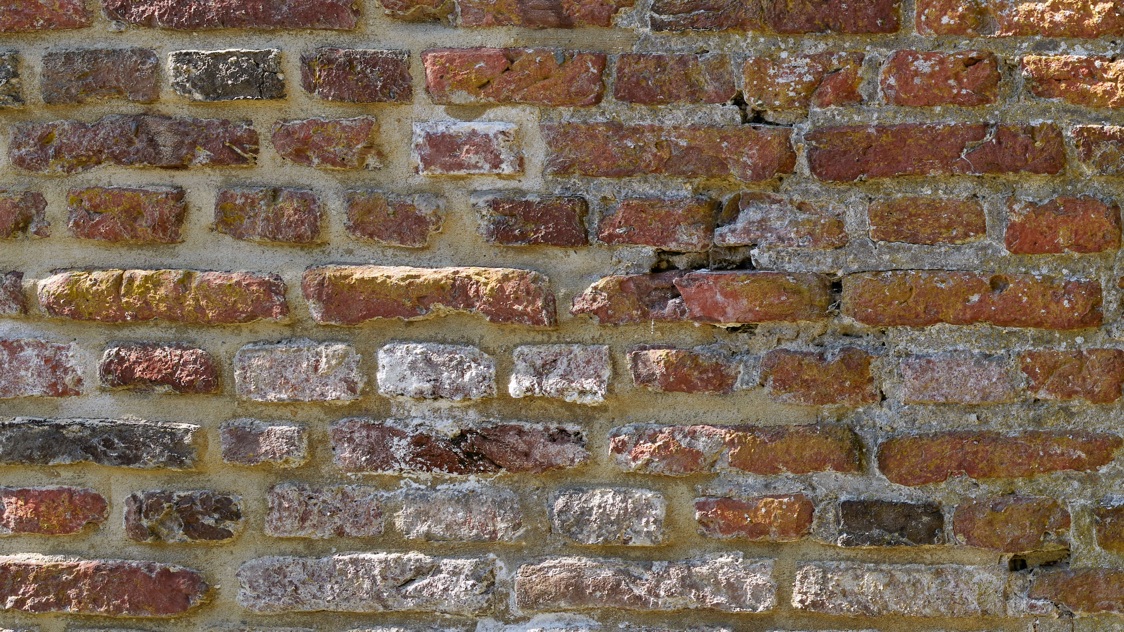 Detailed Image Detailed Image