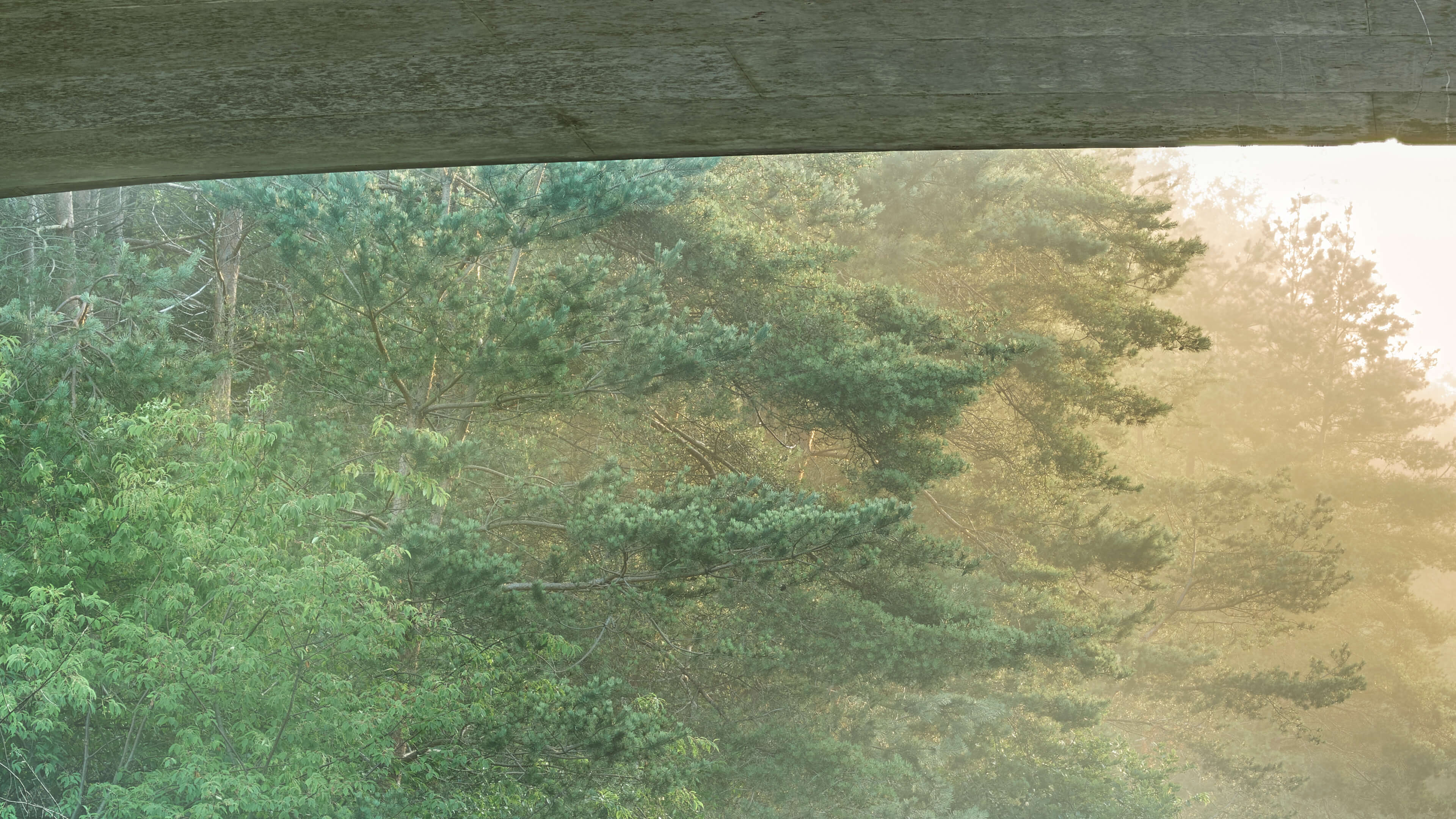 Detailed Image Detailed Image
