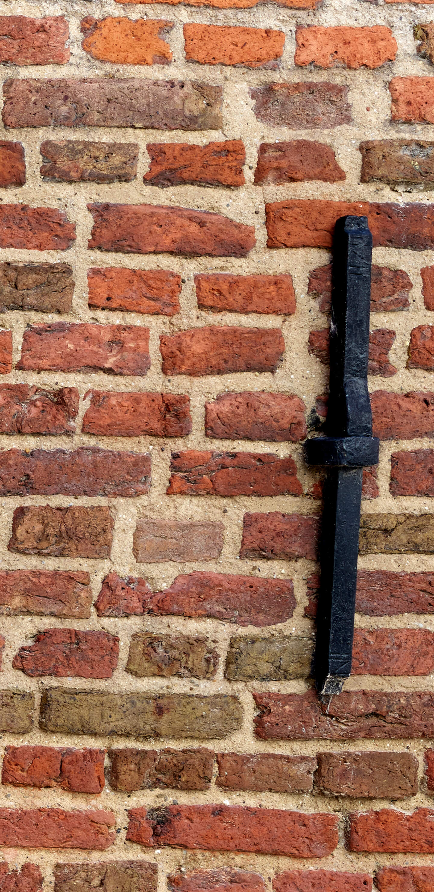 Detailed Image 1 Detailed Image 1