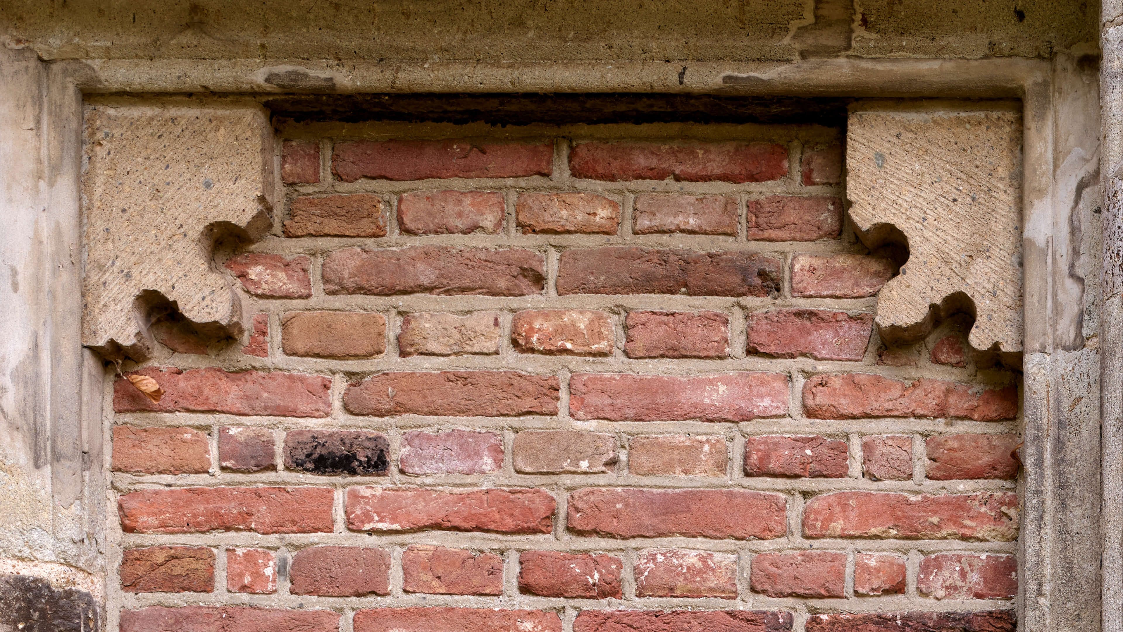 Detailed Image Detailed Image