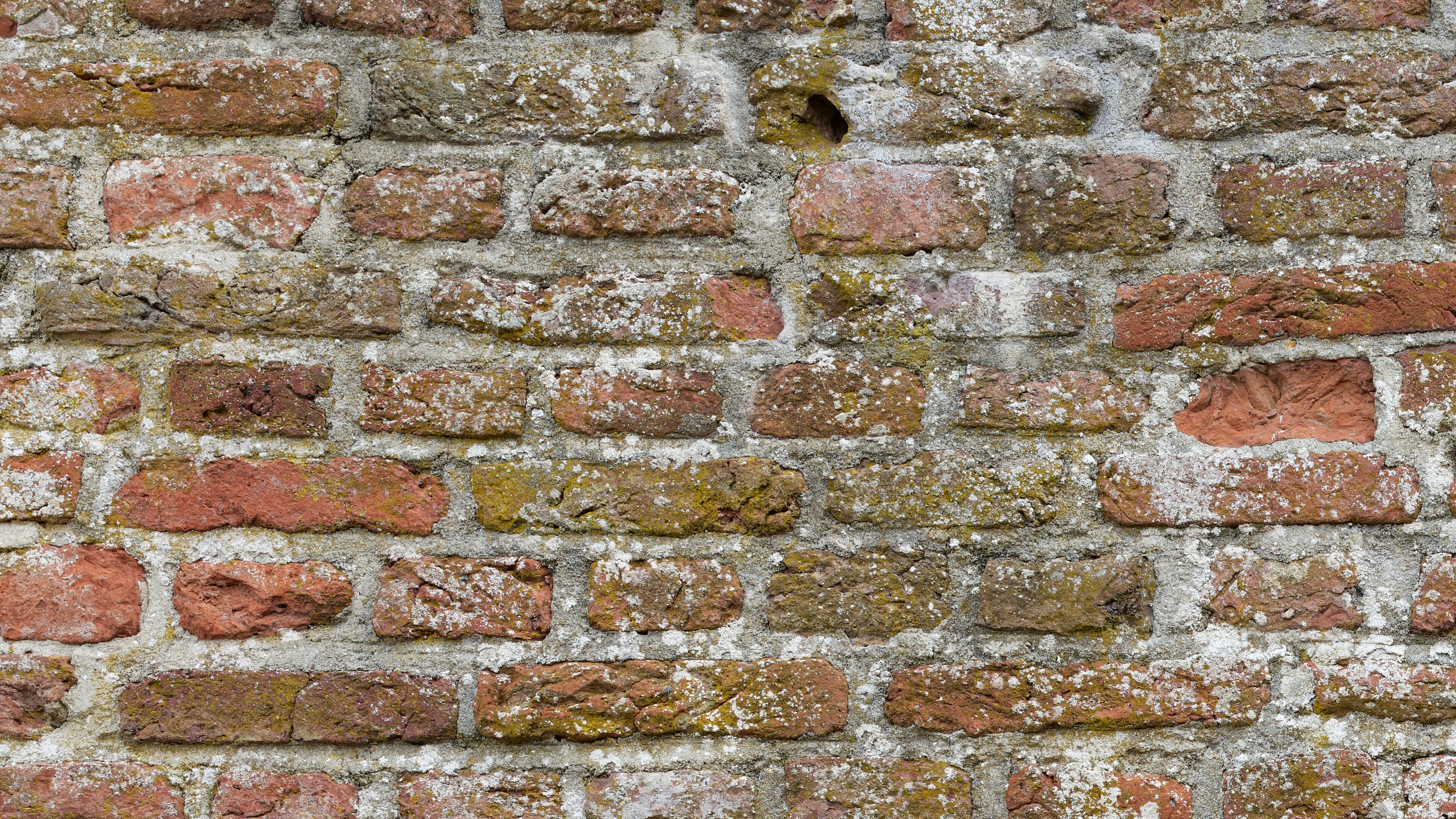 Detailed Image Detailed Image