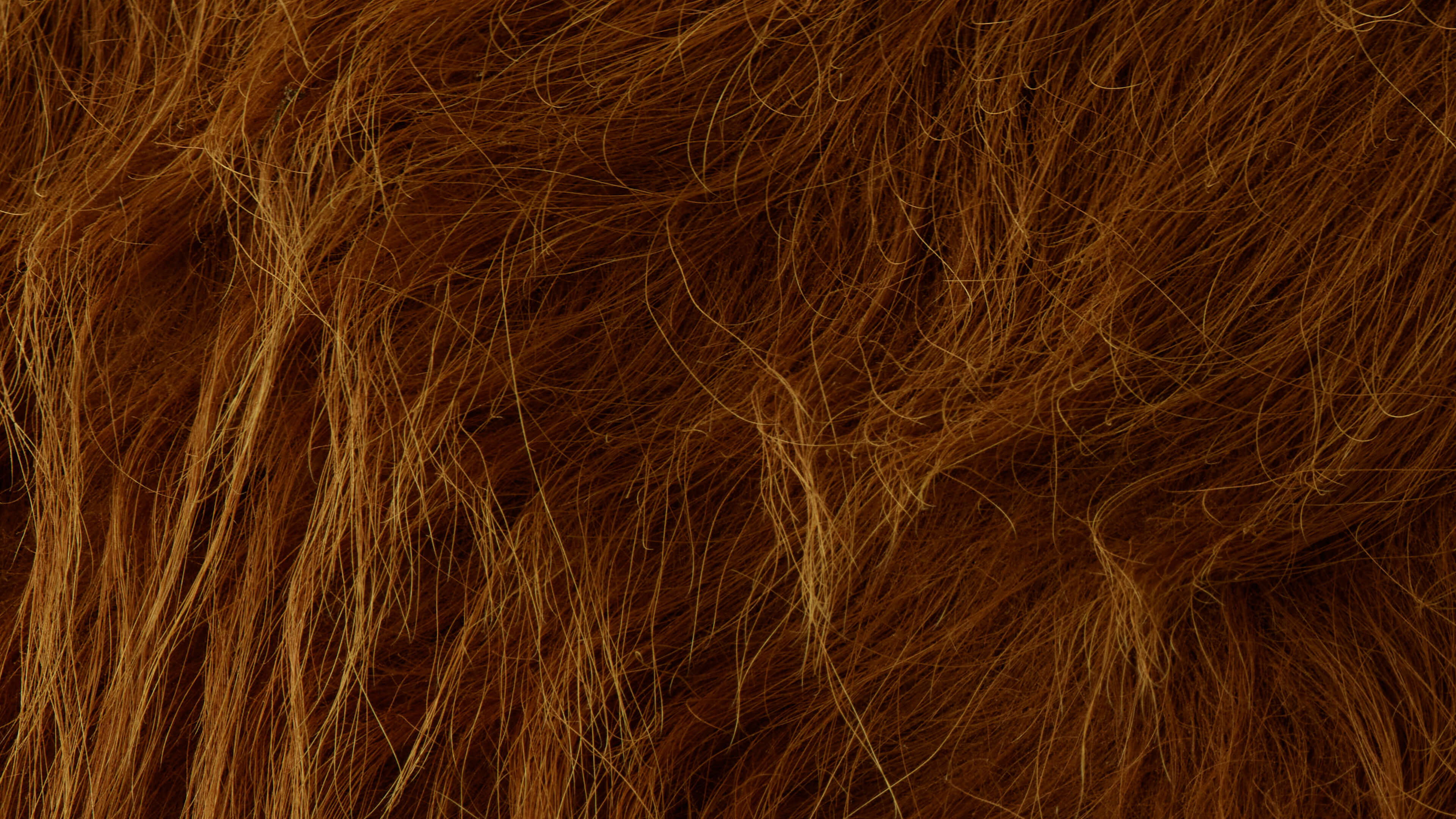 Detailed Image Detailed Image