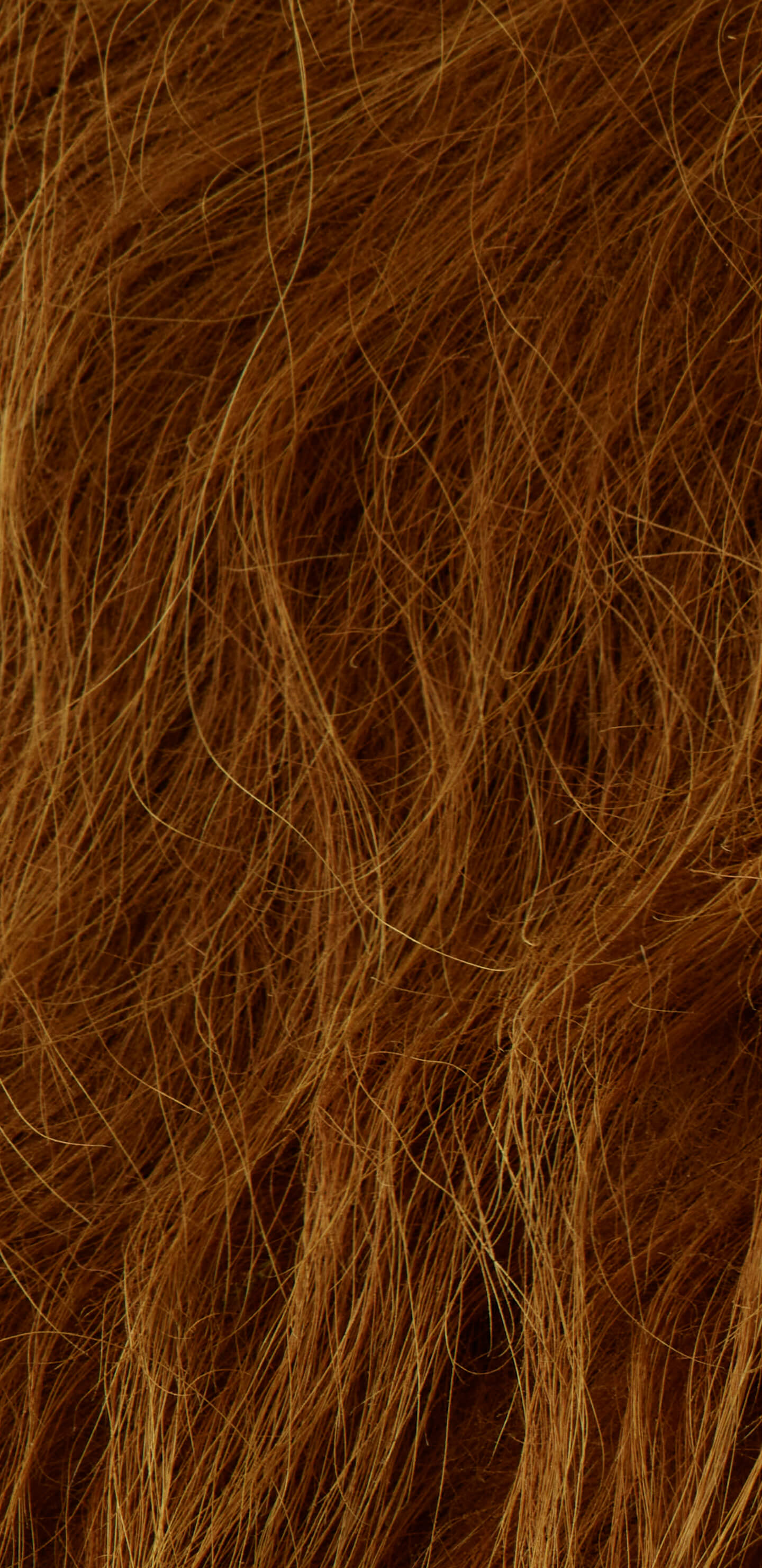 Detailed Image 1 Detailed Image 1