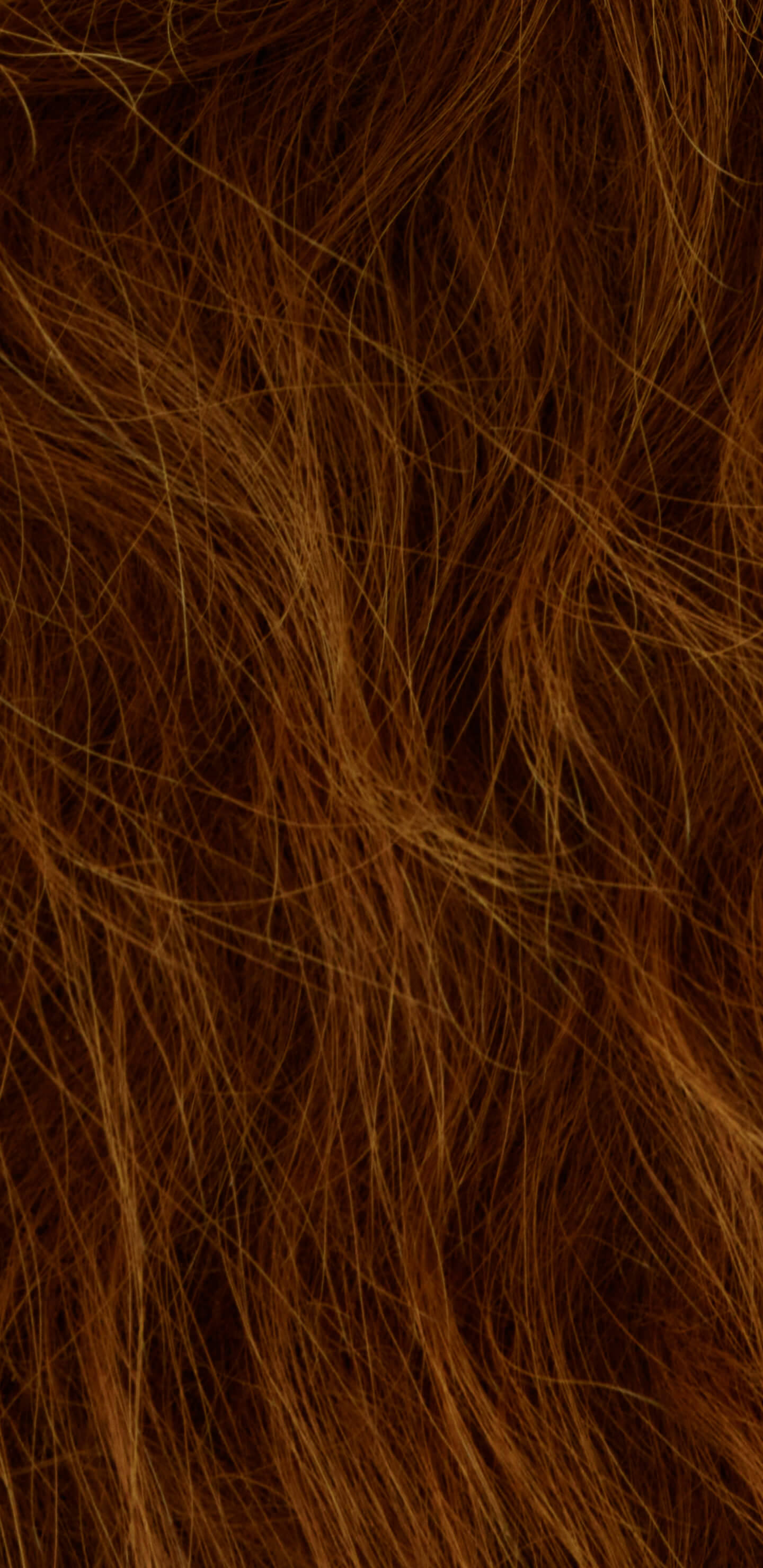 Detailed Image 2 Detailed Image 2