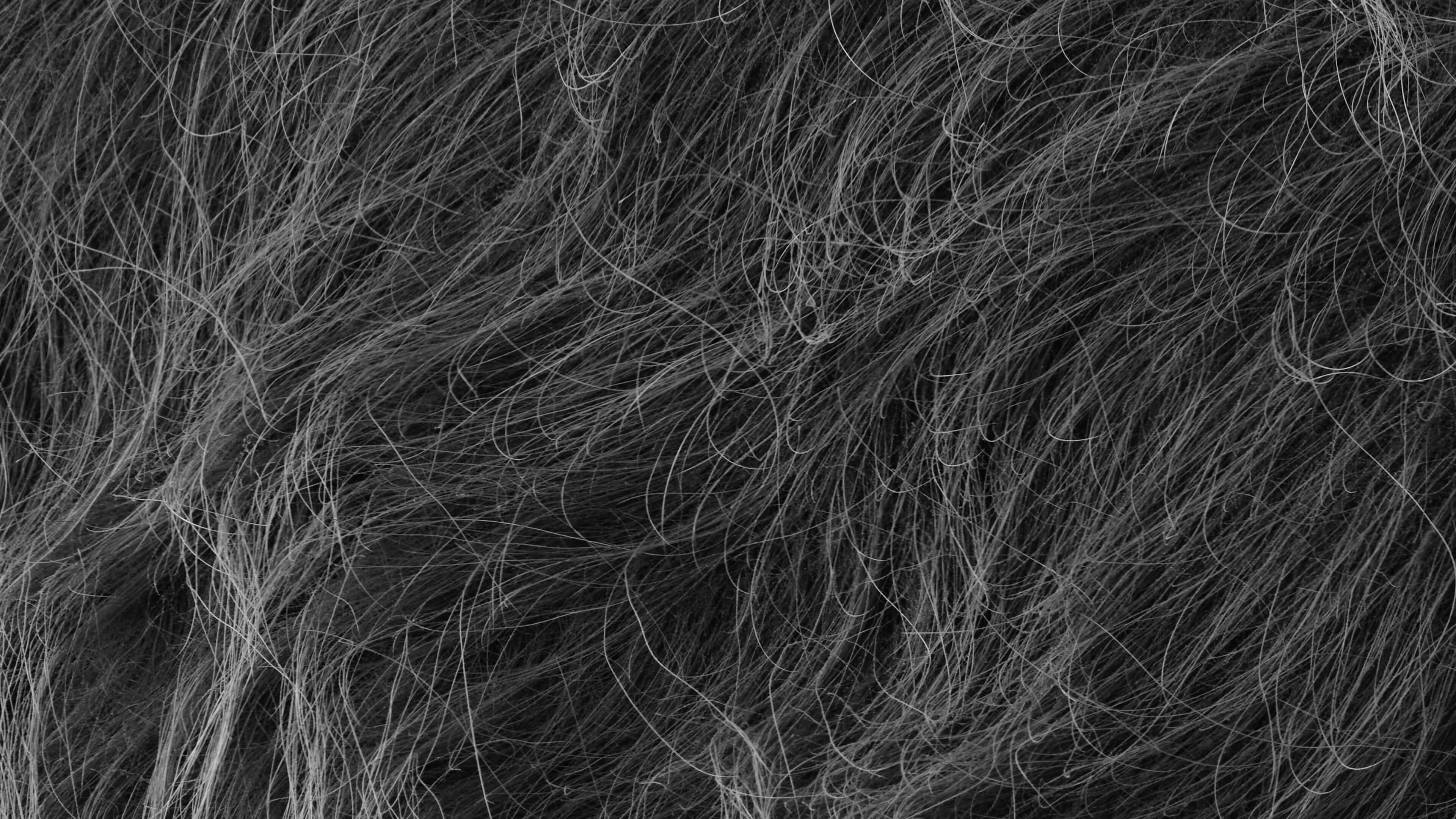 Detailed Image Detailed Image