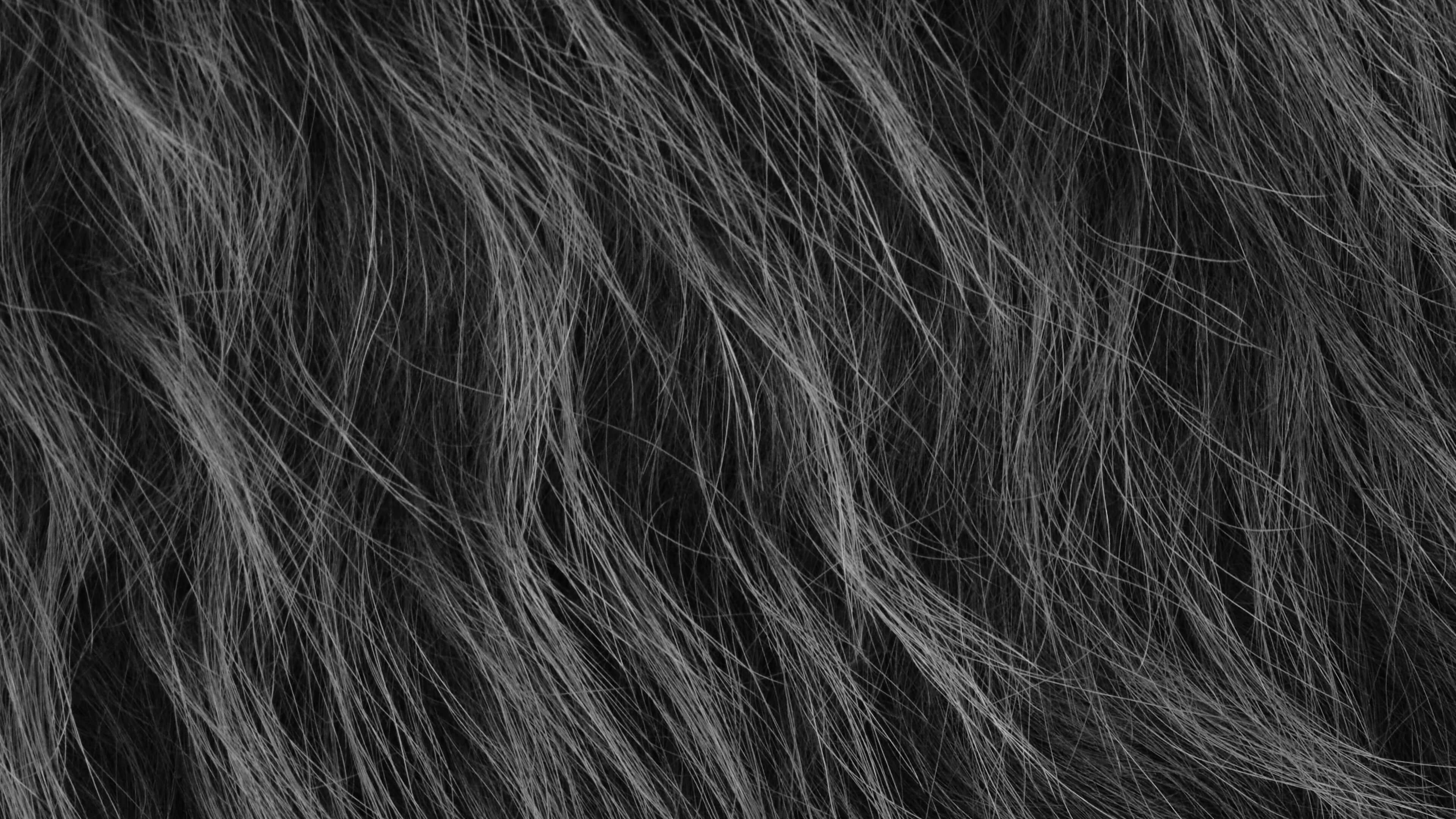 Detailed Image 2 Detailed Image 2