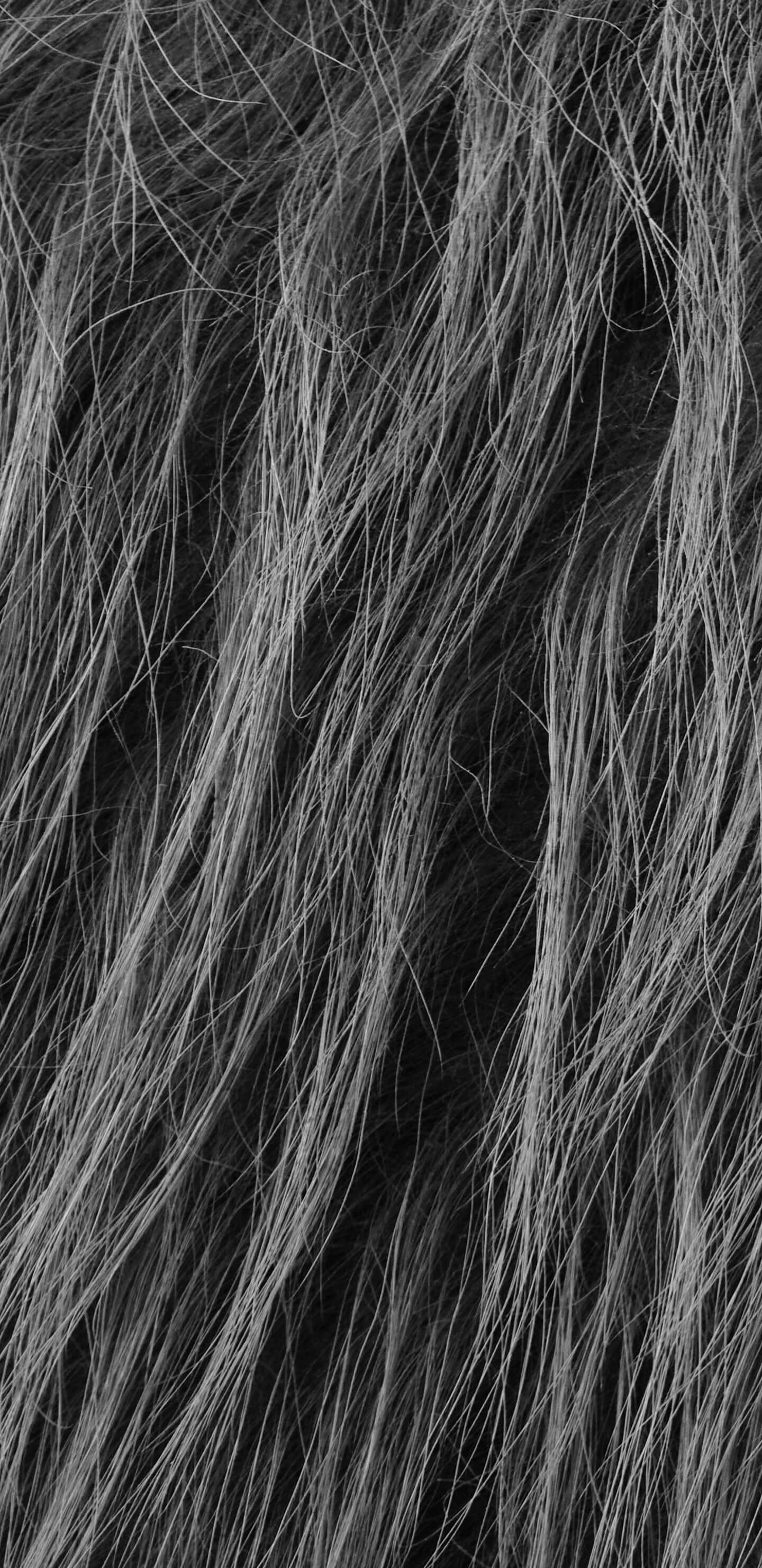 Detailed Image 1 Detailed Image 1