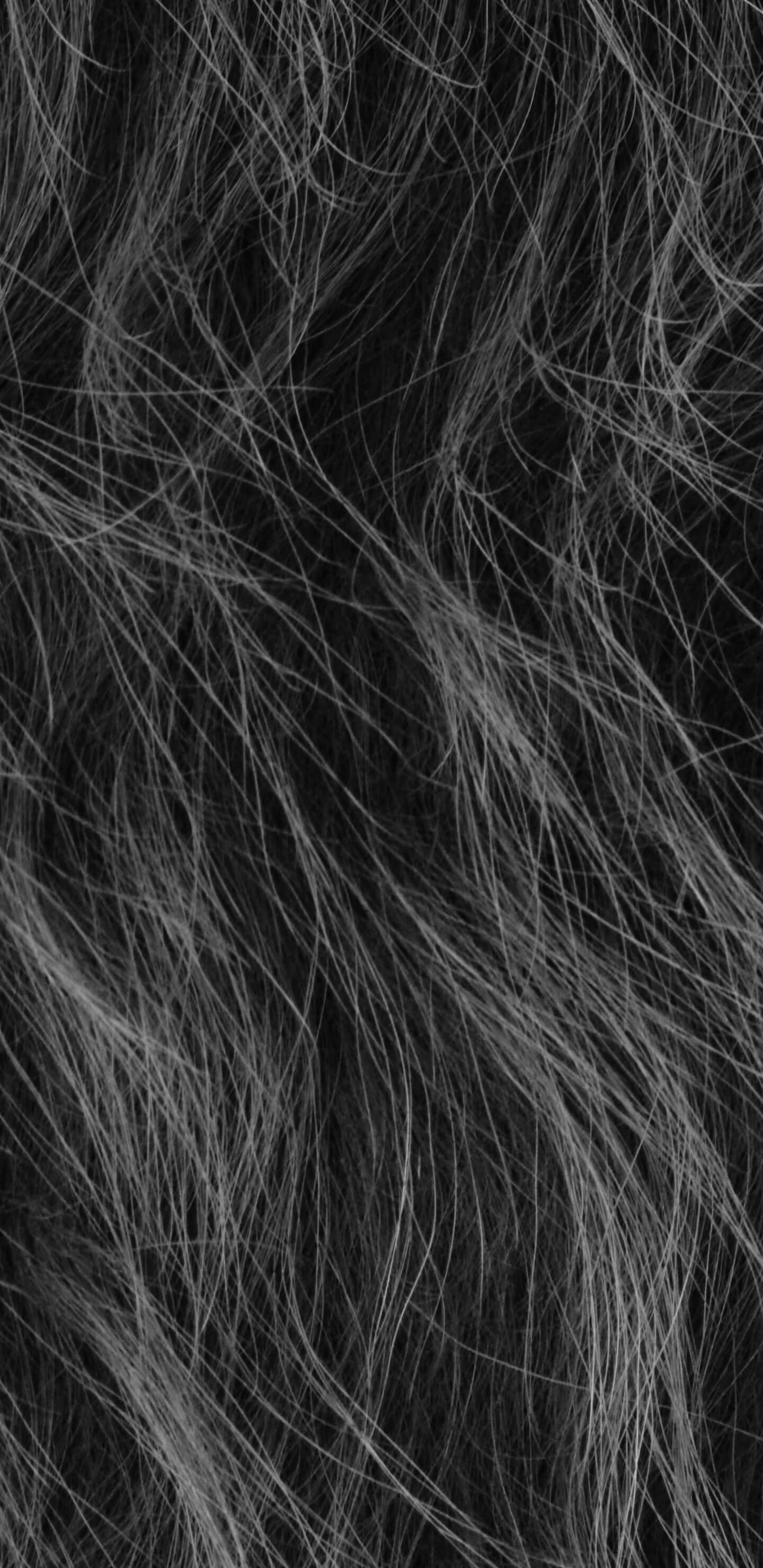 Detailed Image 2 Detailed Image 2