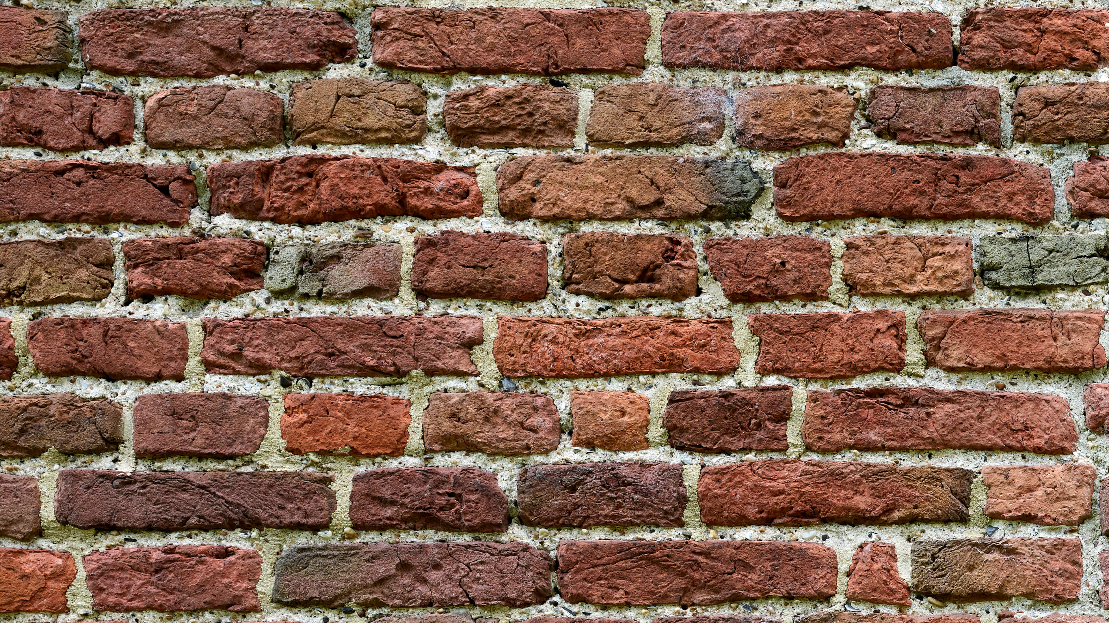 Detailed Image Detailed Image