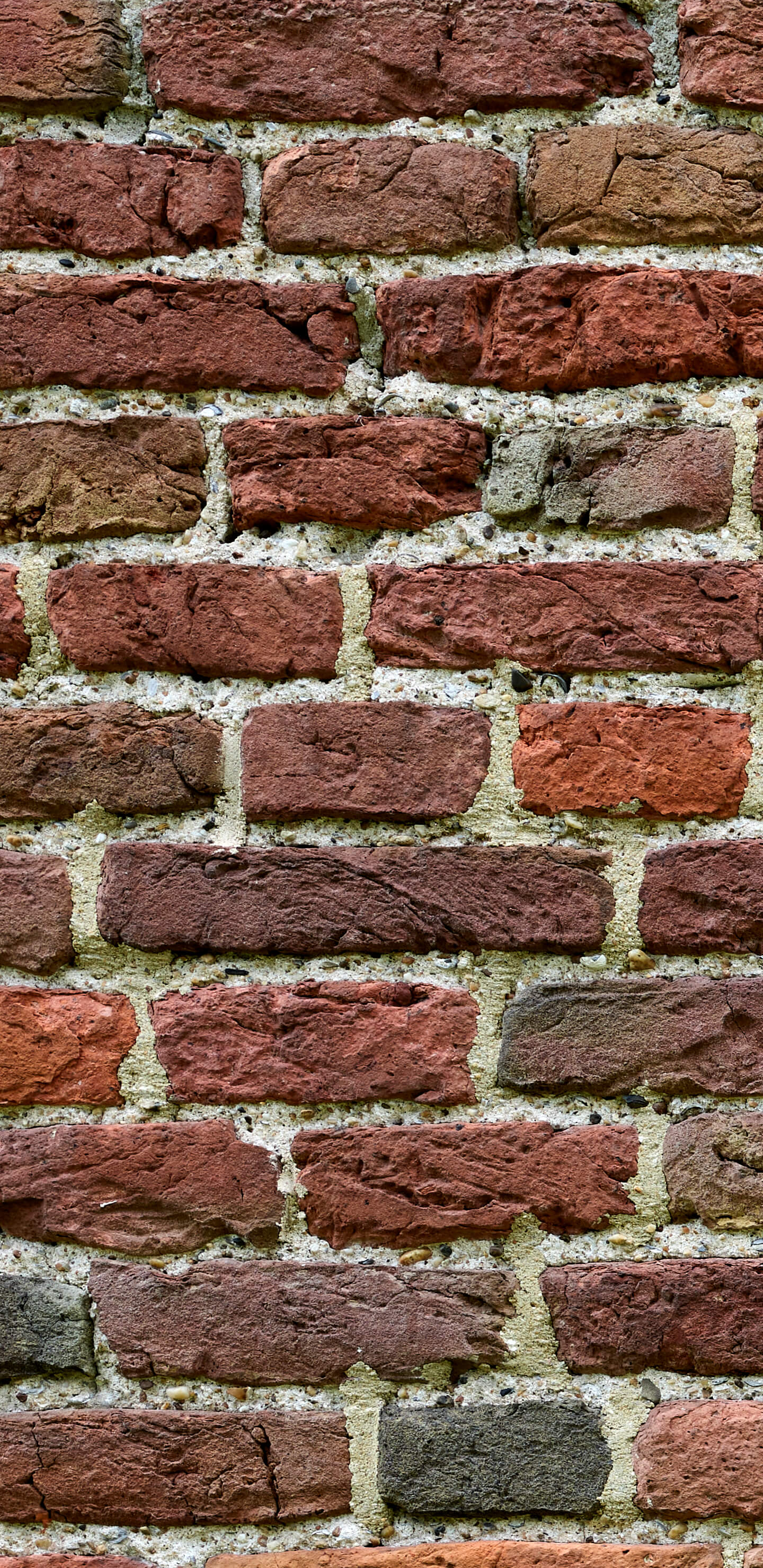 Detailed Image 1 Detailed Image 1