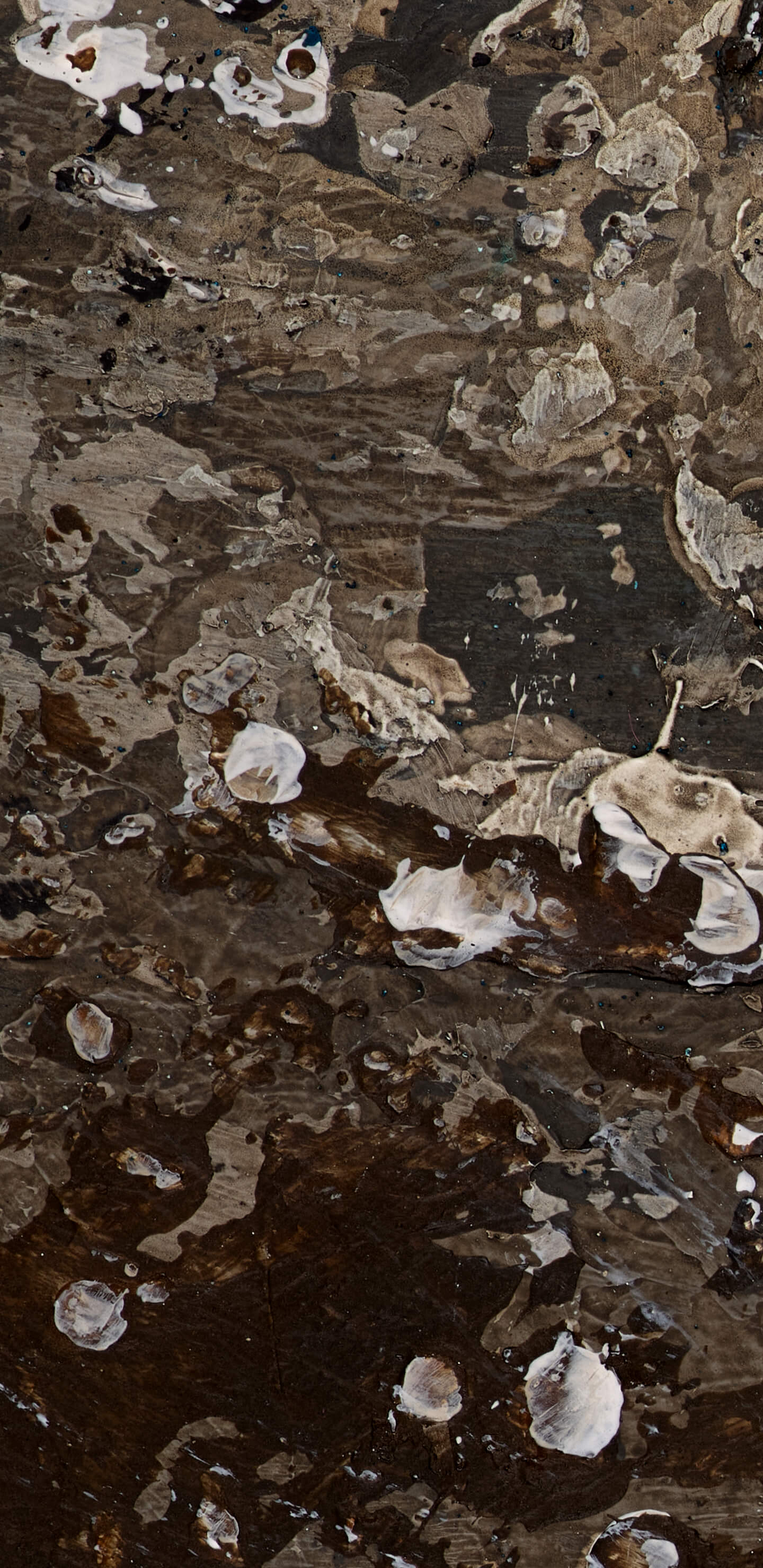 Detailed Image 1 Detailed Image 1