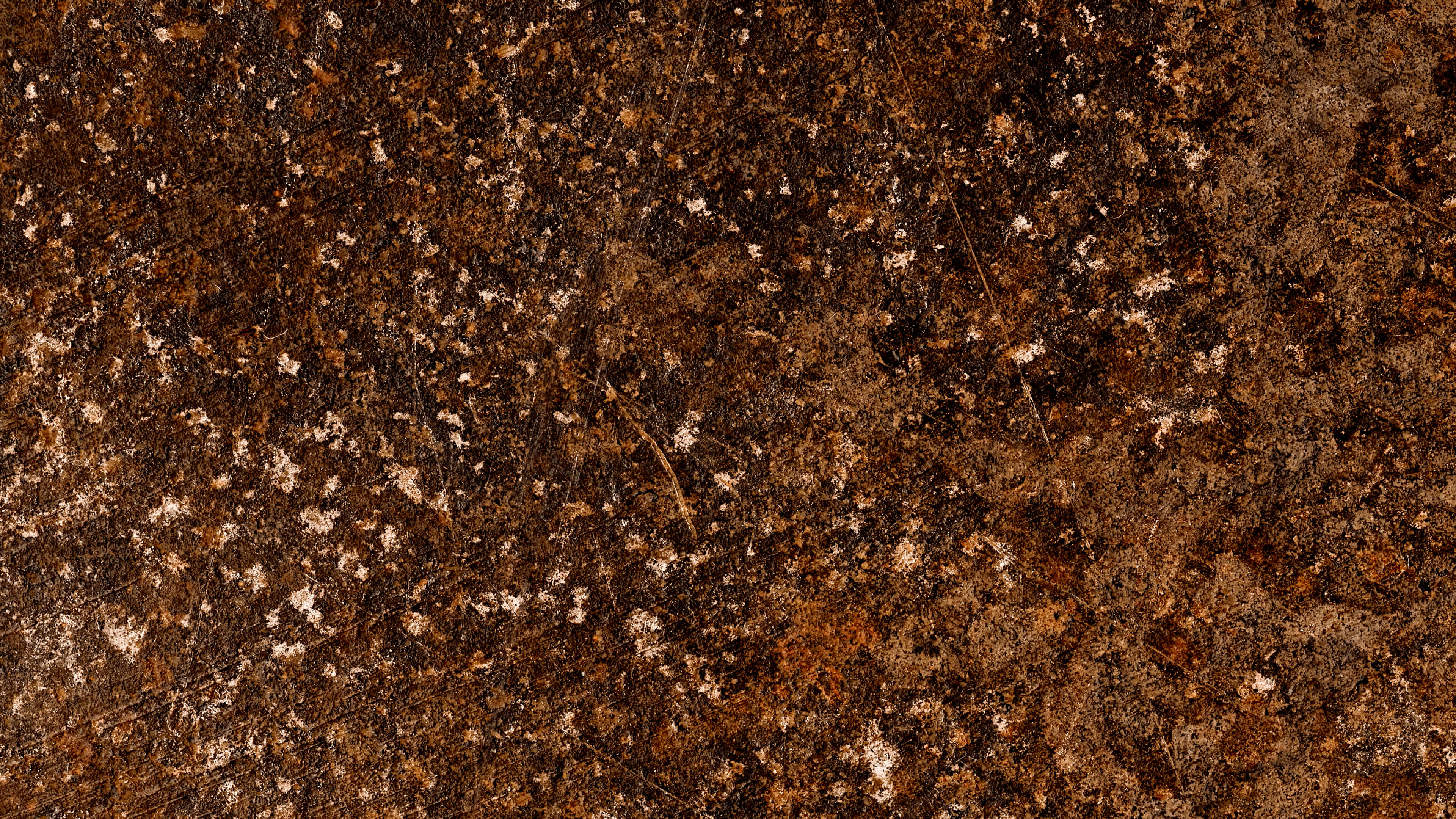 Detailed Image Detailed Image