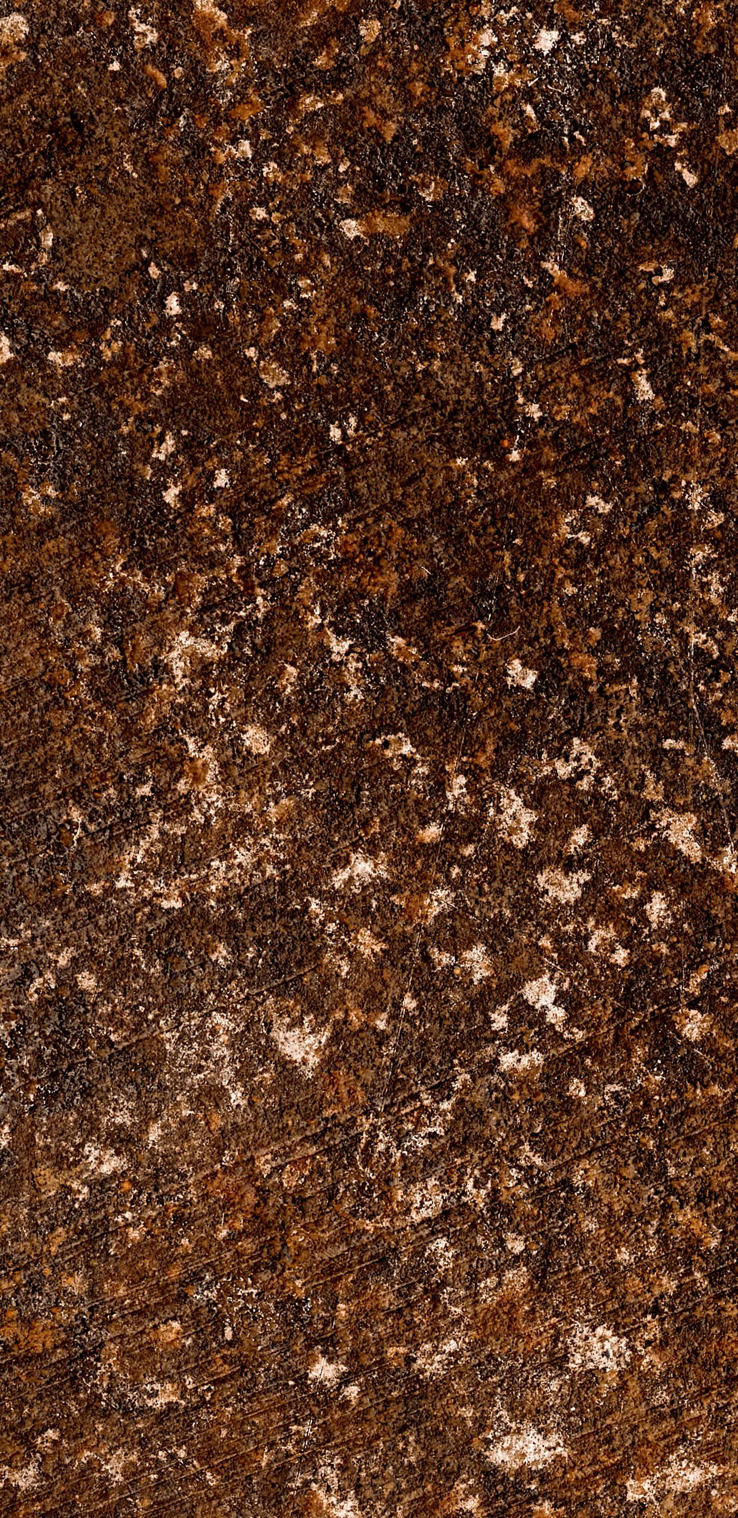 Detailed Image 1 Detailed Image 1