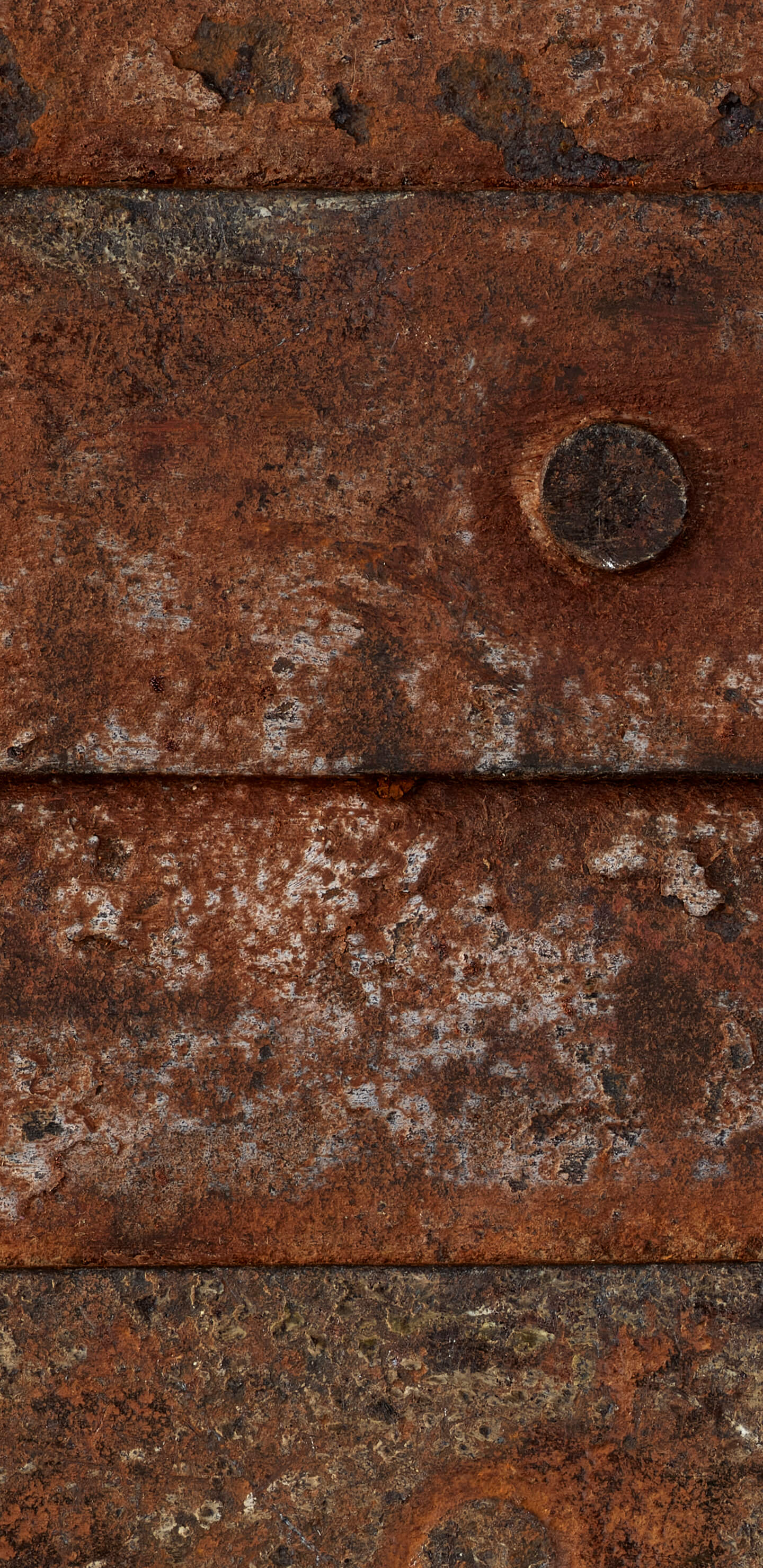 Detailed Image 1 Detailed Image 1