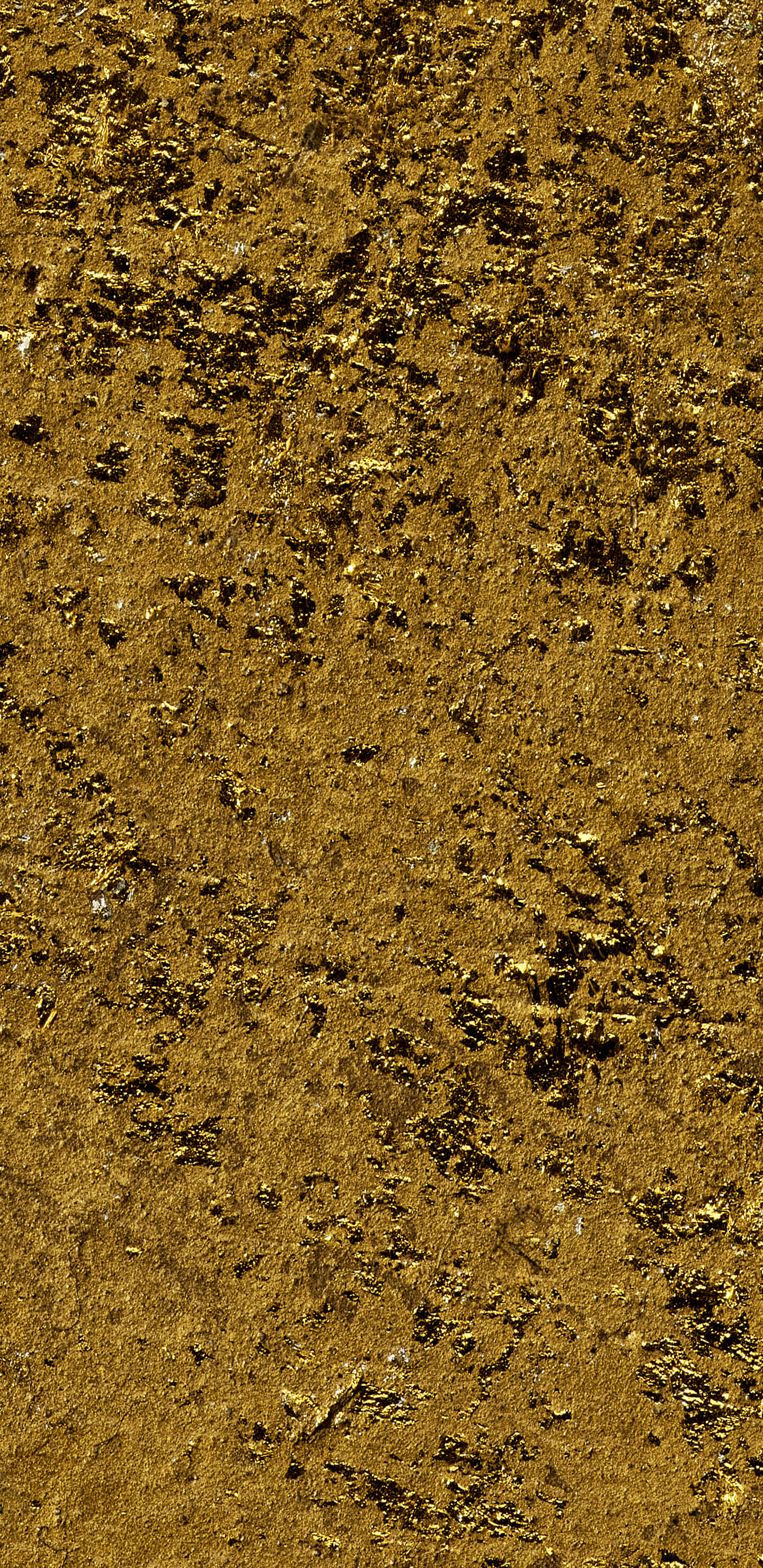 Detailed Image 2 Detailed Image 2