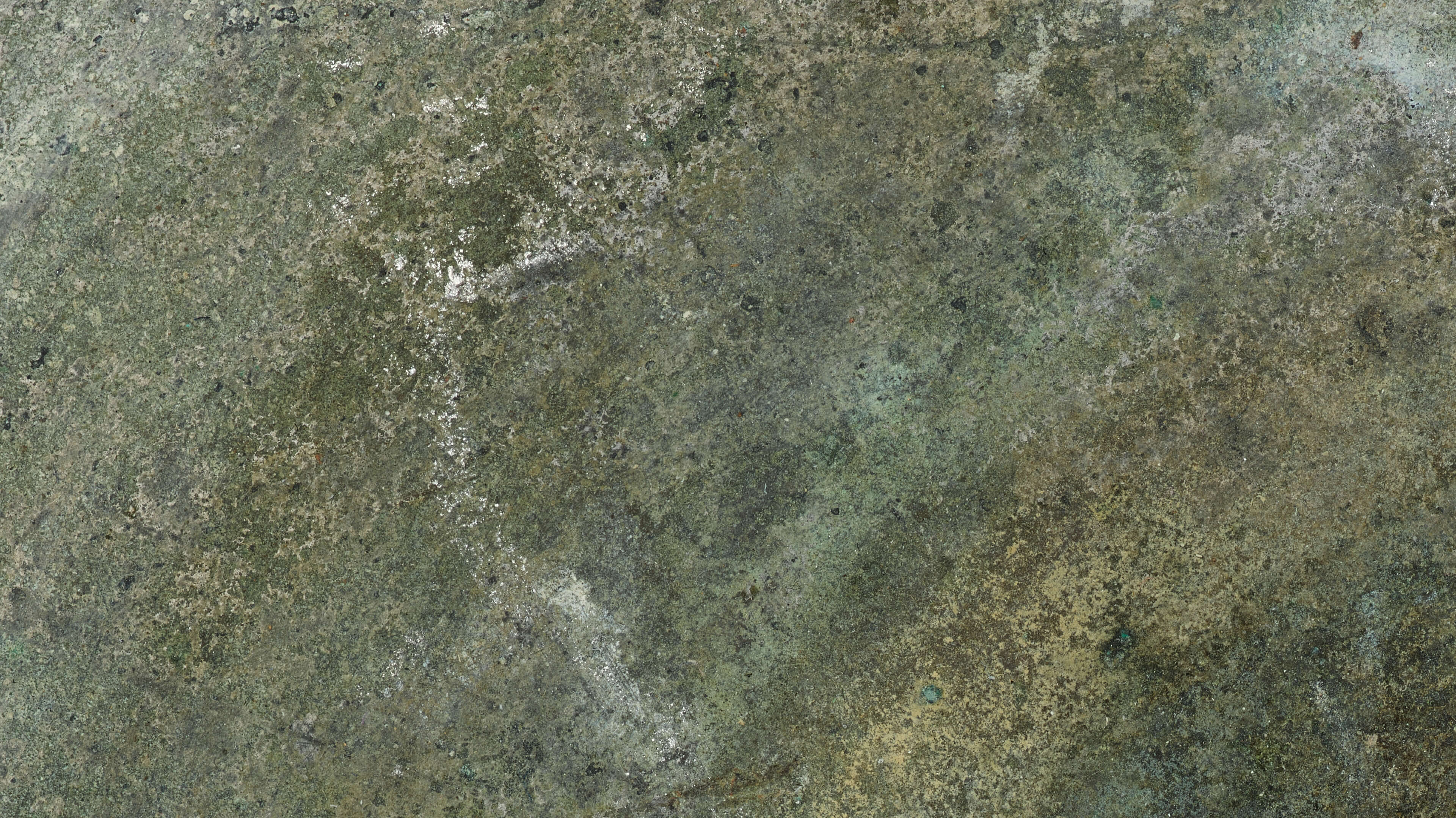 Detailed Image Detailed Image