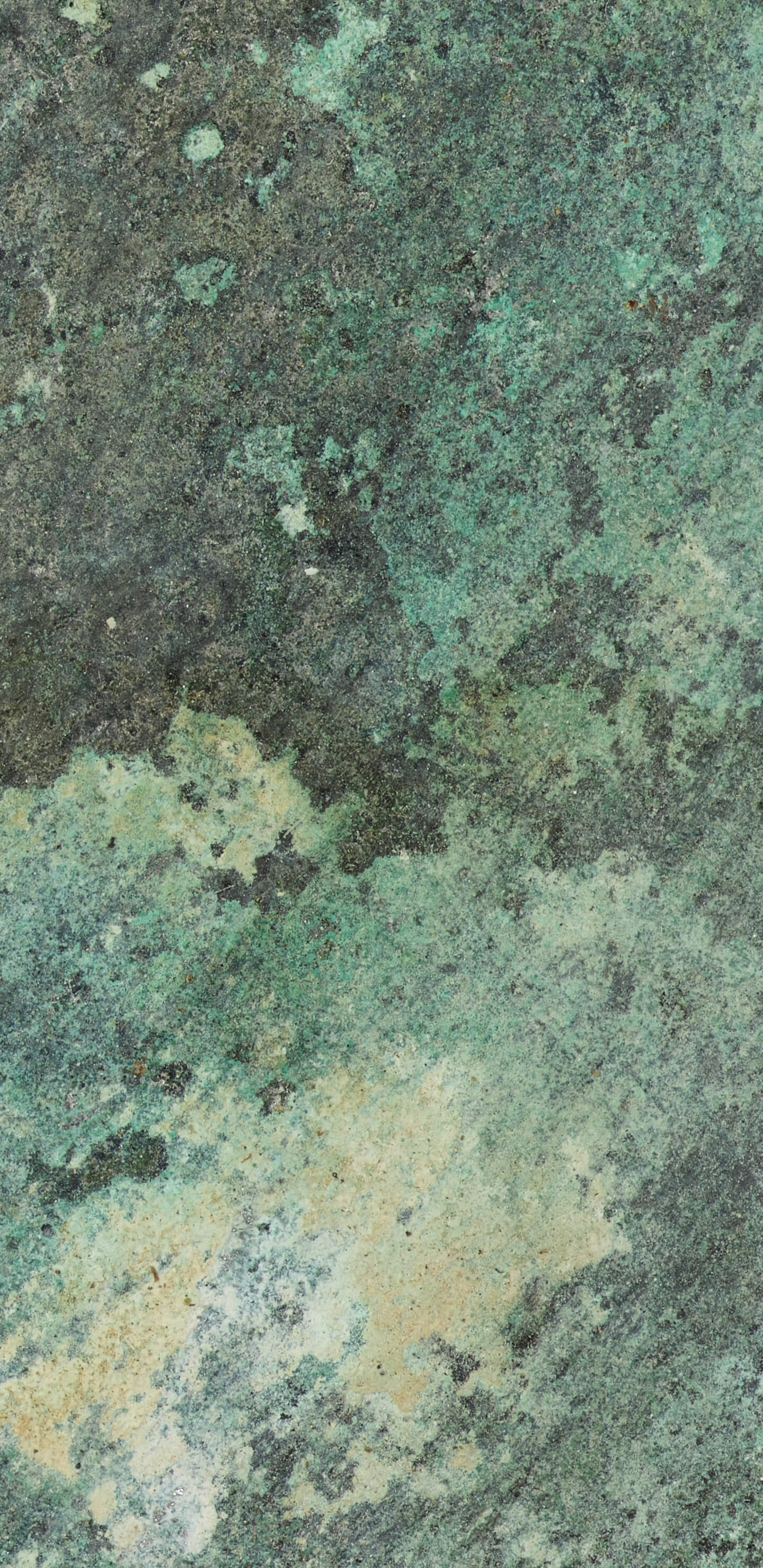Detailed Image 2 Detailed Image 2