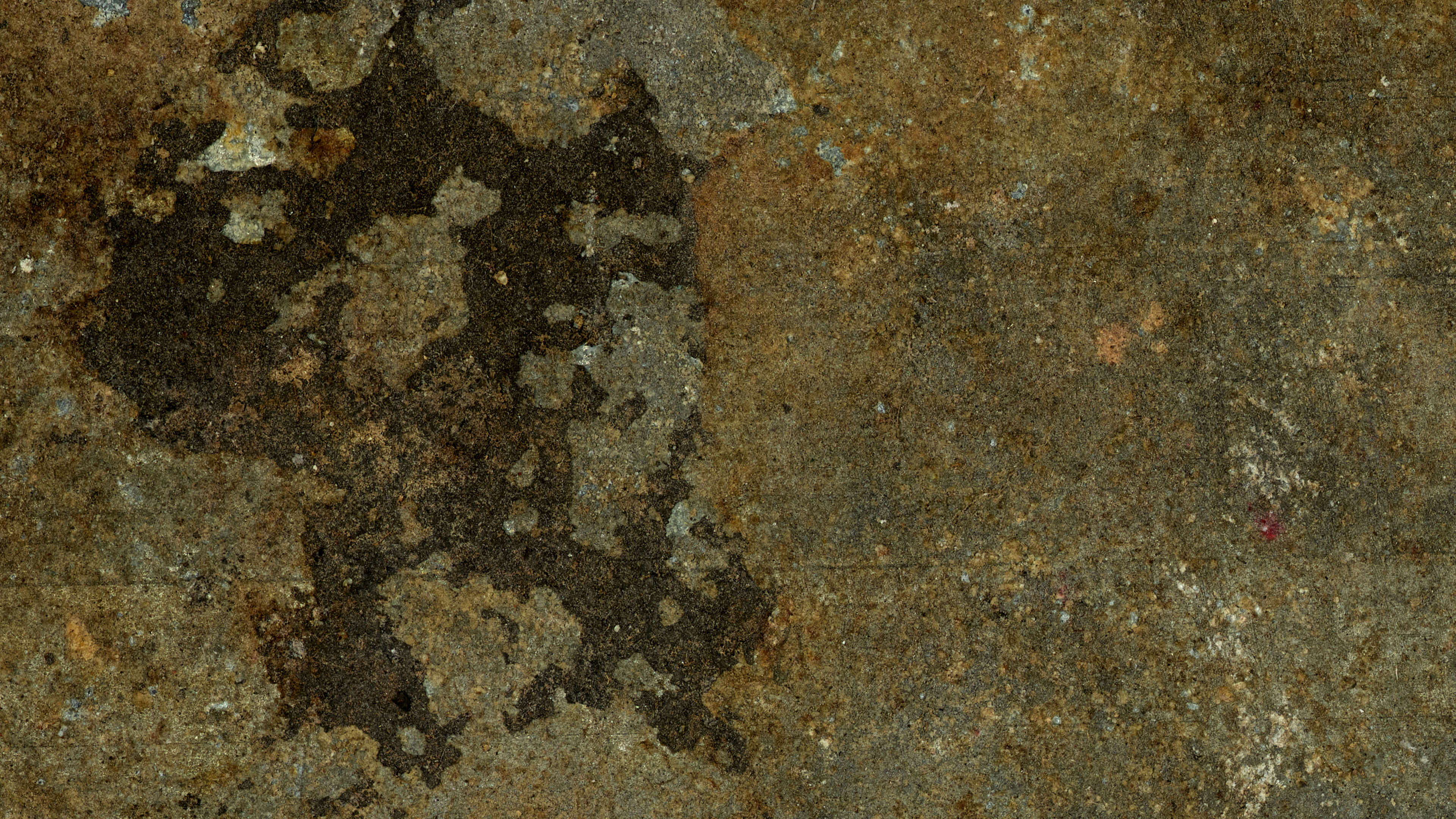 Detailed Image Detailed Image