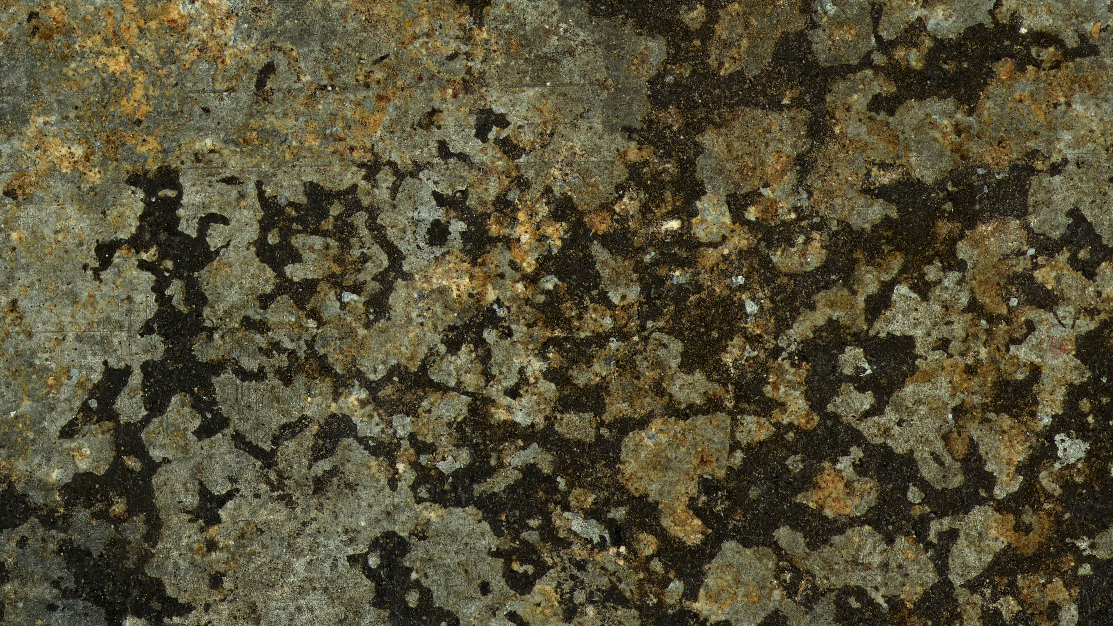 Detailed Image 2 Detailed Image 2