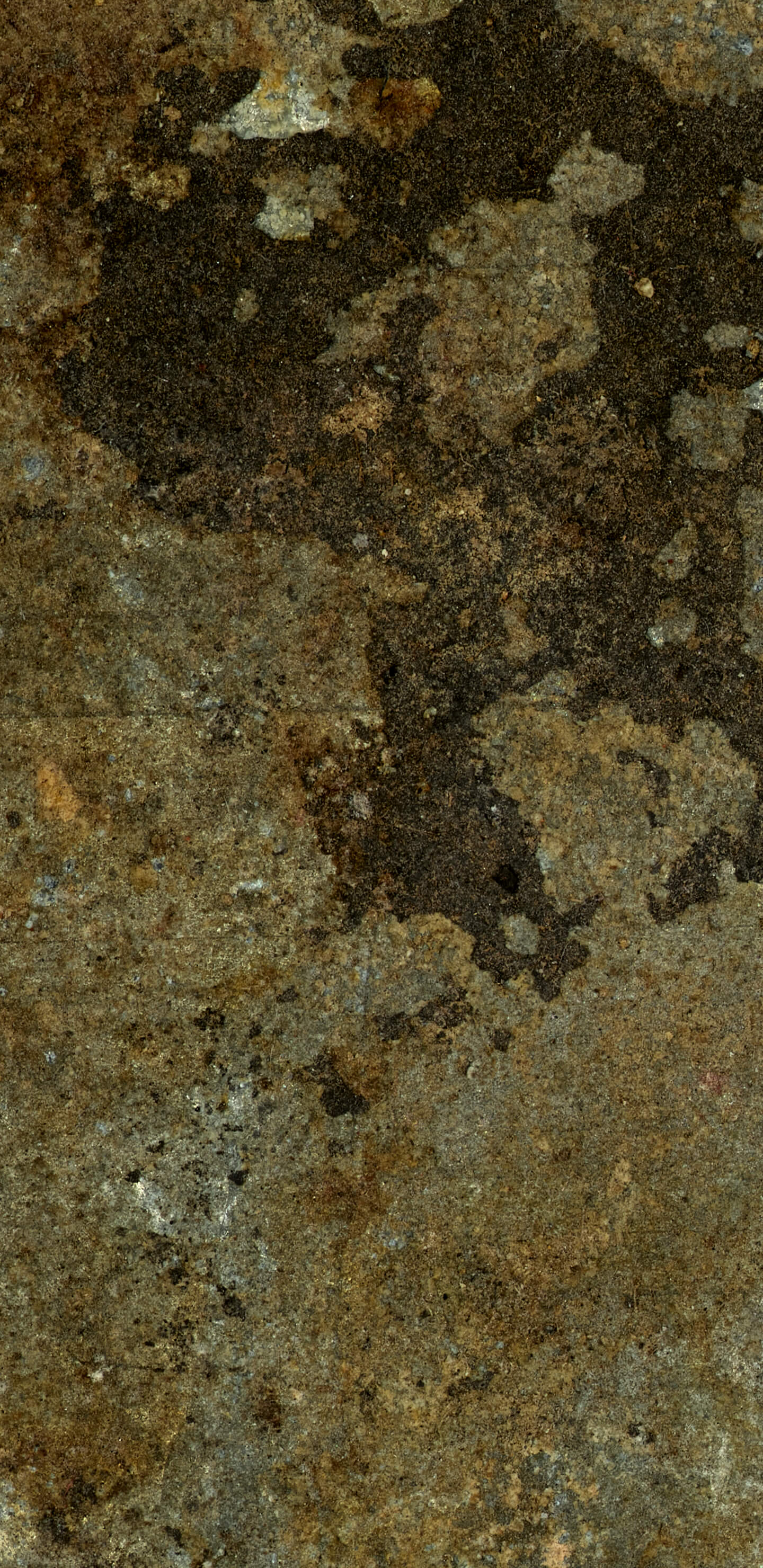 Detailed Image 1 Detailed Image 1