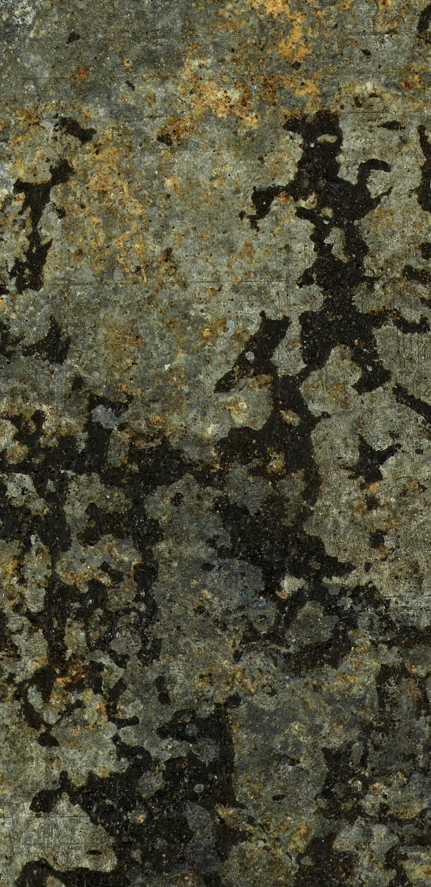Detailed Image 2 Detailed Image 2