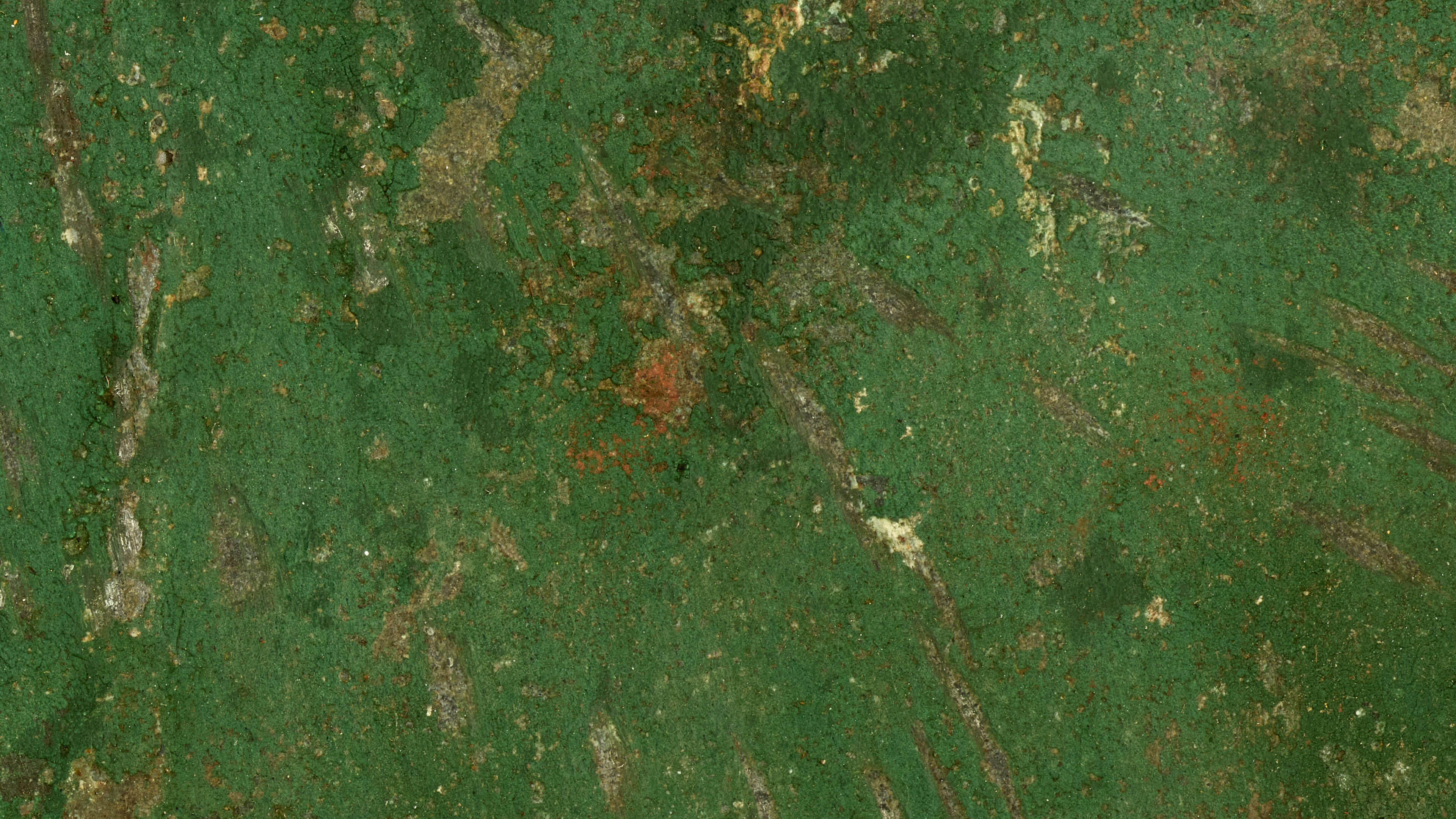 Detailed Image 2 Detailed Image 2