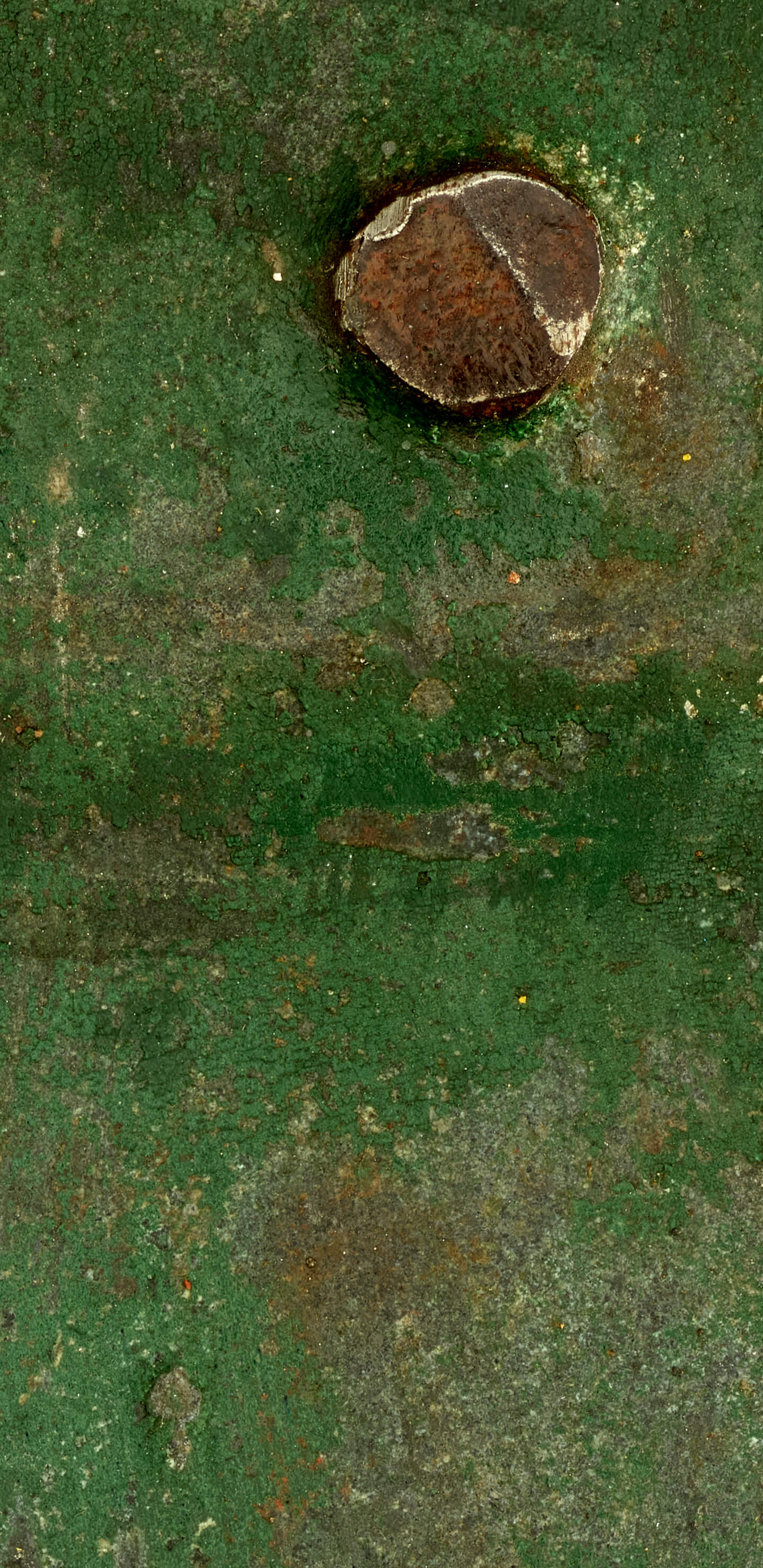 Detailed Image 1 Detailed Image 1