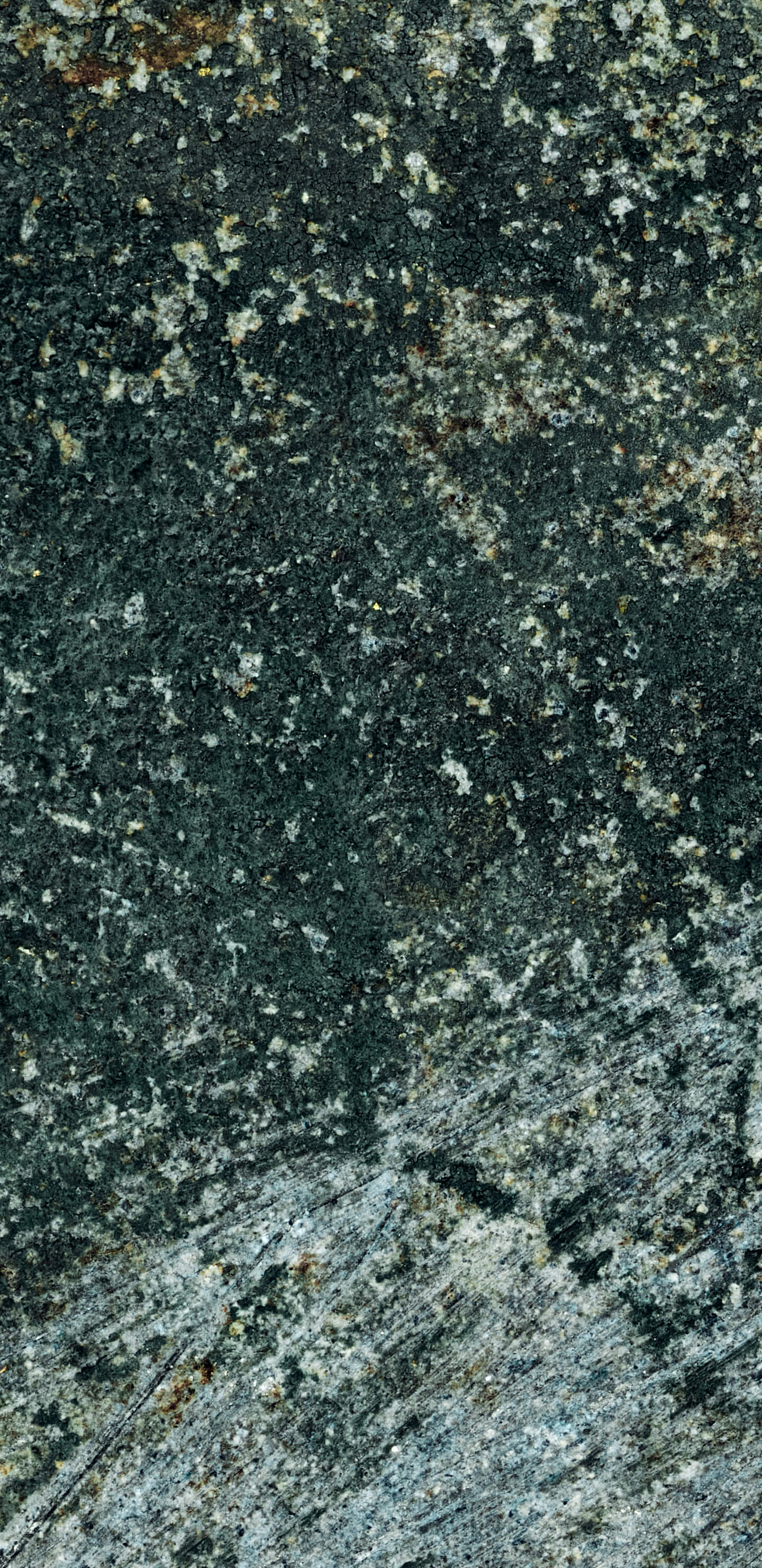 Detailed Image 1 Detailed Image 1