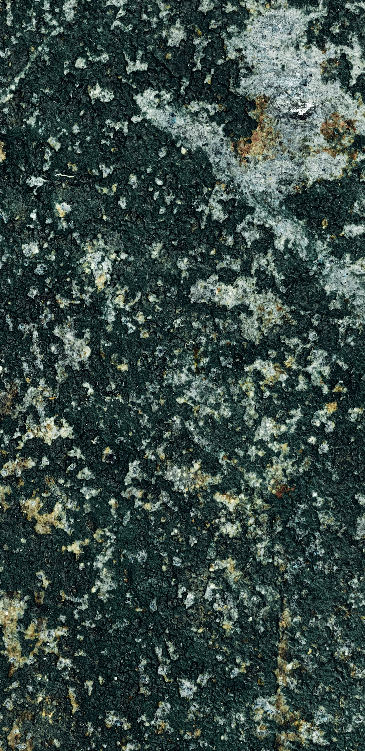 Detailed Image 2 Detailed Image 2