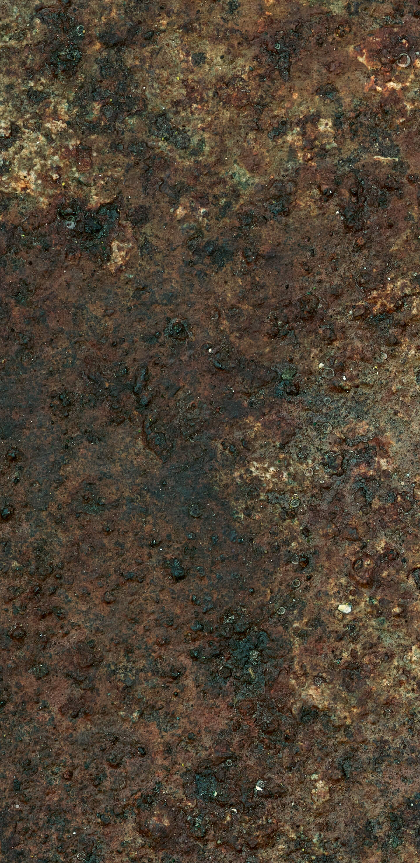 Detailed Image 1 Detailed Image 1